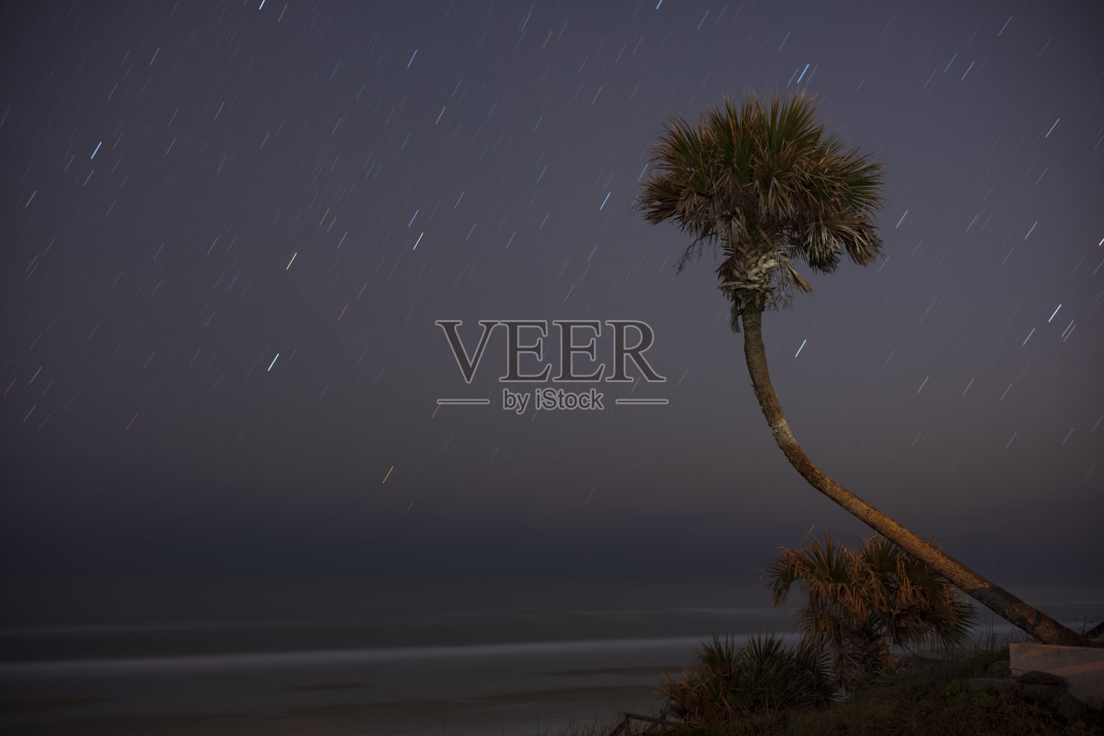 在佛罗里达的代托纳海滩拍摄的星迹，前景是一棵棕榈树和运动模糊的大西洋。照片摄影图片