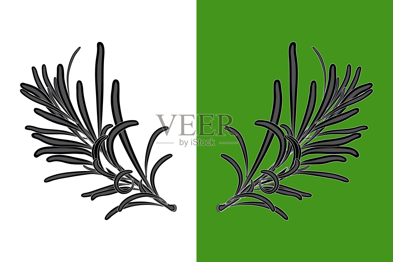 迷迭香叶黑色的剪影孤立在白色和绿色的背景。插画图片素材