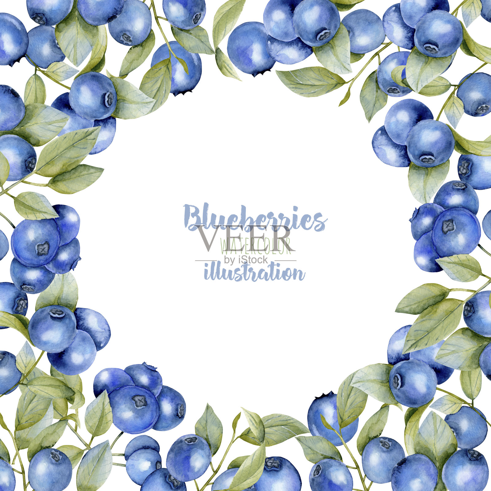 卡片模板与水彩蓝莓树枝，框架边界背景，手绘在白色的背景插画图片素材