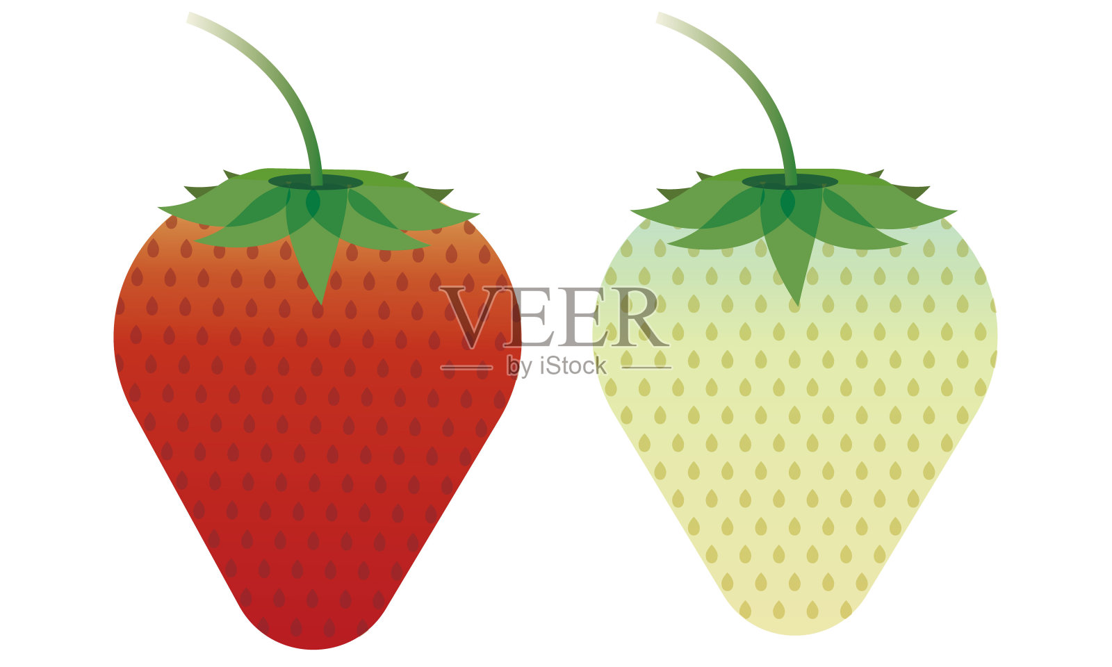 新鲜可爱的草莓插图插画图片素材
