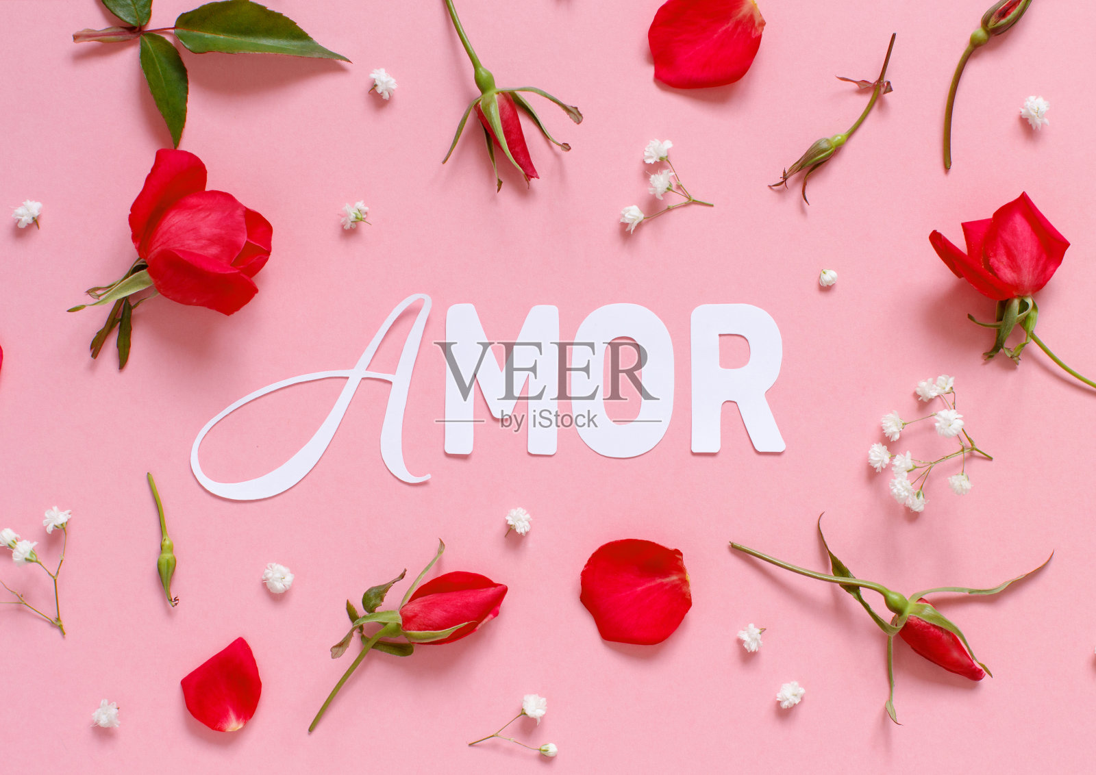 花和单词AMOR在浅粉色的背景照片摄影图片