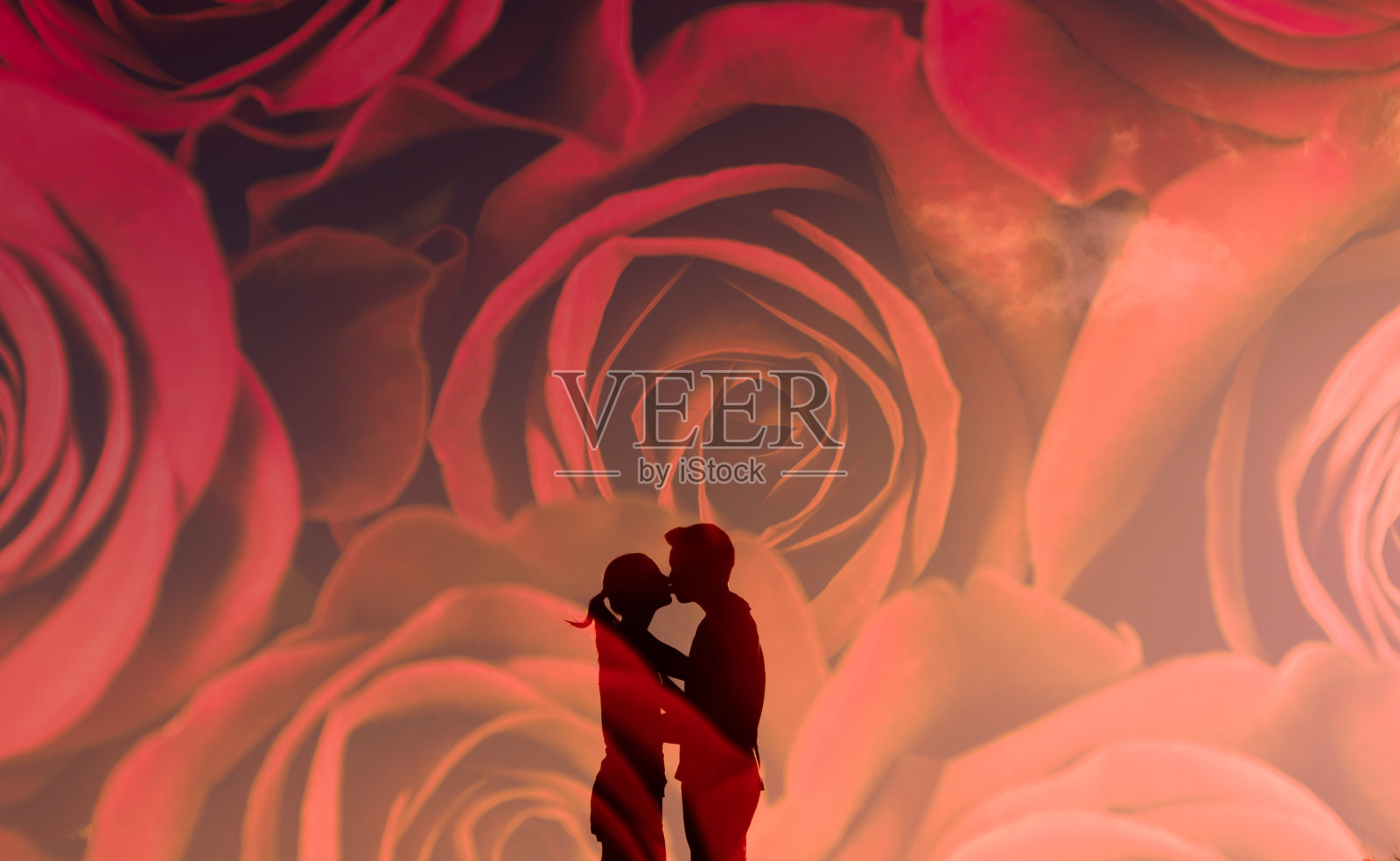情侣亲吻在花玫瑰背景。照片摄影图片