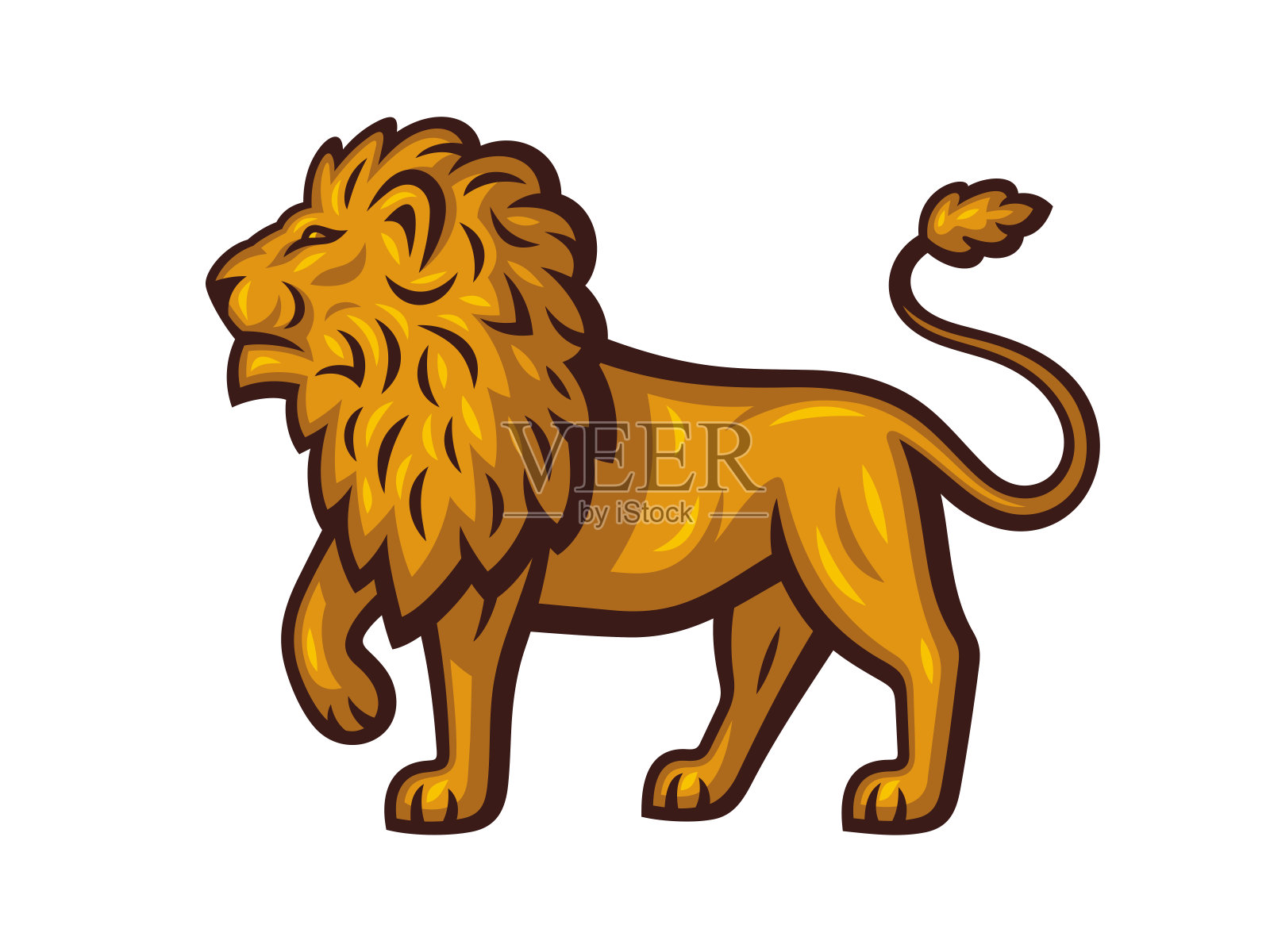 矢量插图的狮子。金狮茁壮成长。插画图片素材