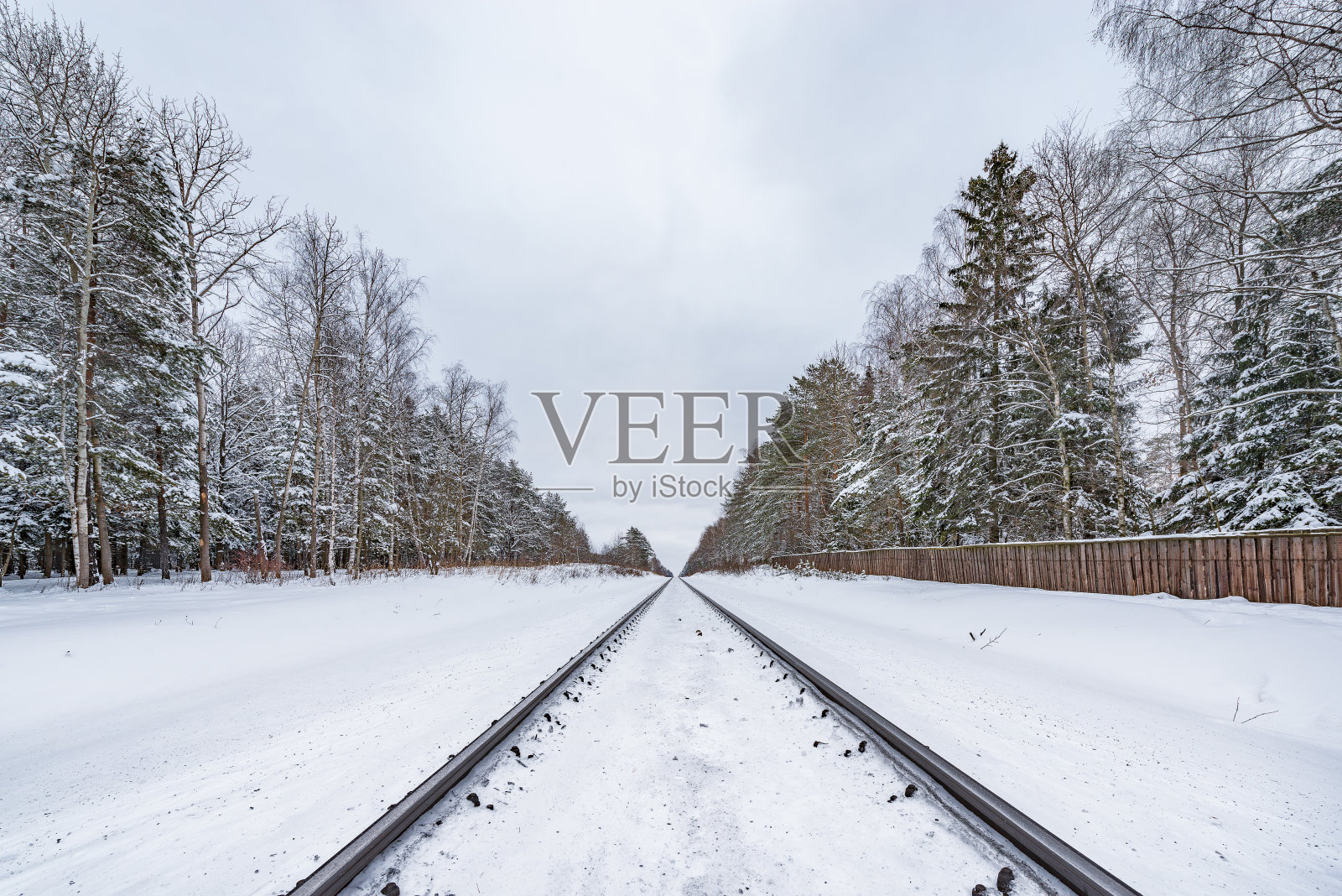 铁路轨道在冬天的森林阴天。照片摄影图片