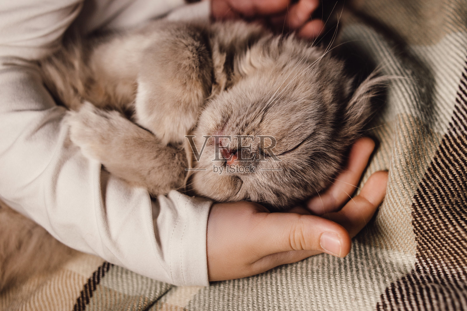 小男孩抱着熟睡的猫。的夜晚。室内照片摄影图片