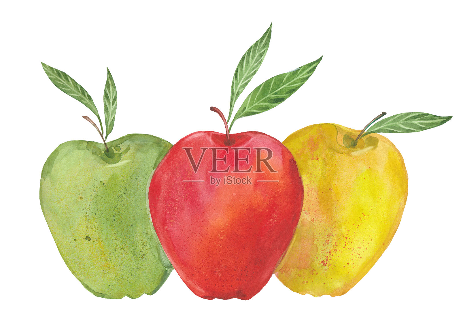 绿色，红色和黄色的苹果插画图片素材