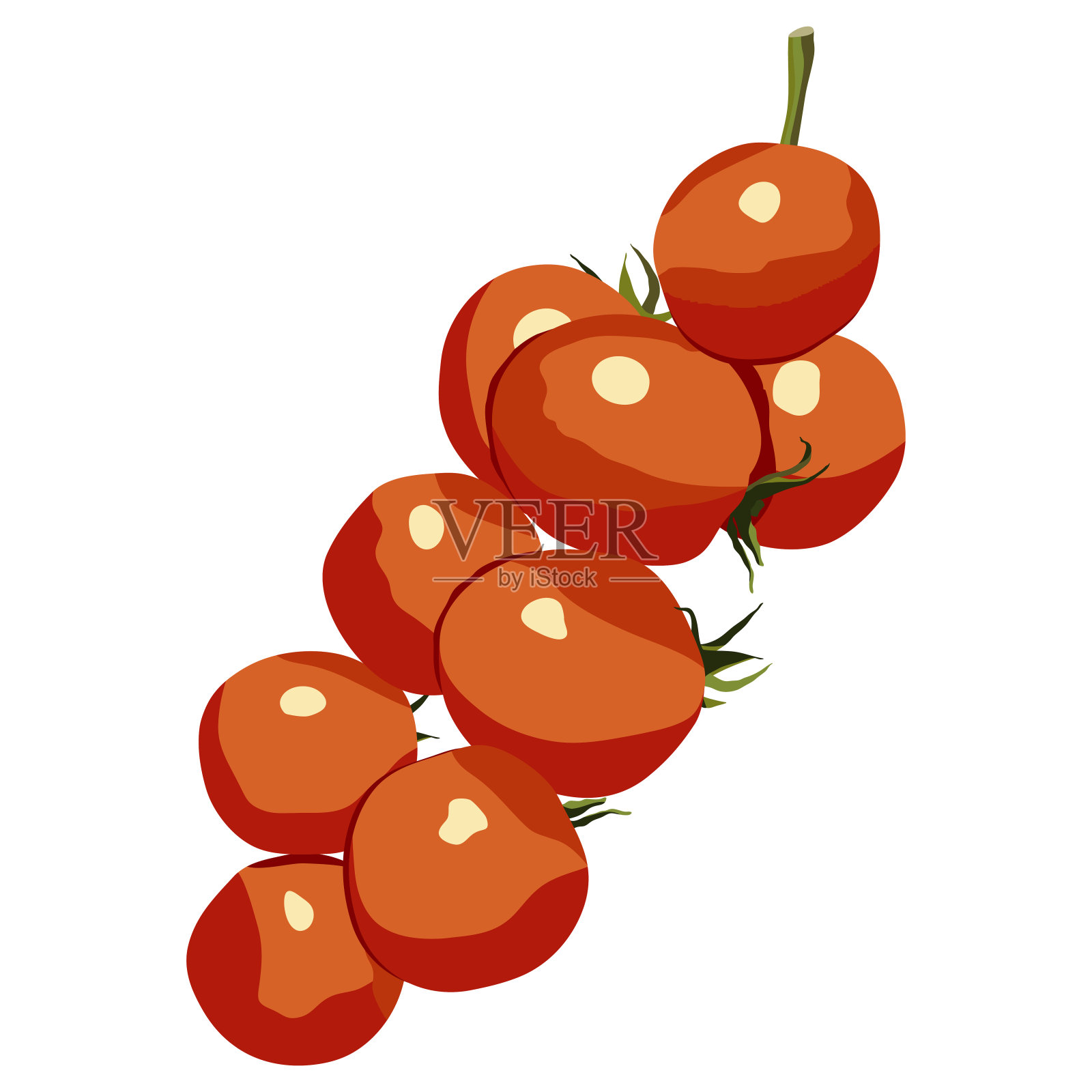 樱桃番茄分支手绘孤立矢量图标上的白色背景。受欢迎的素食。设计元素图片