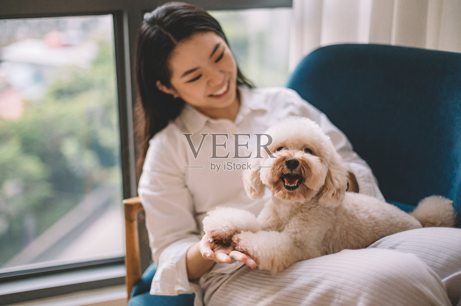 一位年轻的亚洲华裔女性在客厅靠窗的沙发上和她的宠物玩具狮子狗玩耍照片摄影图片