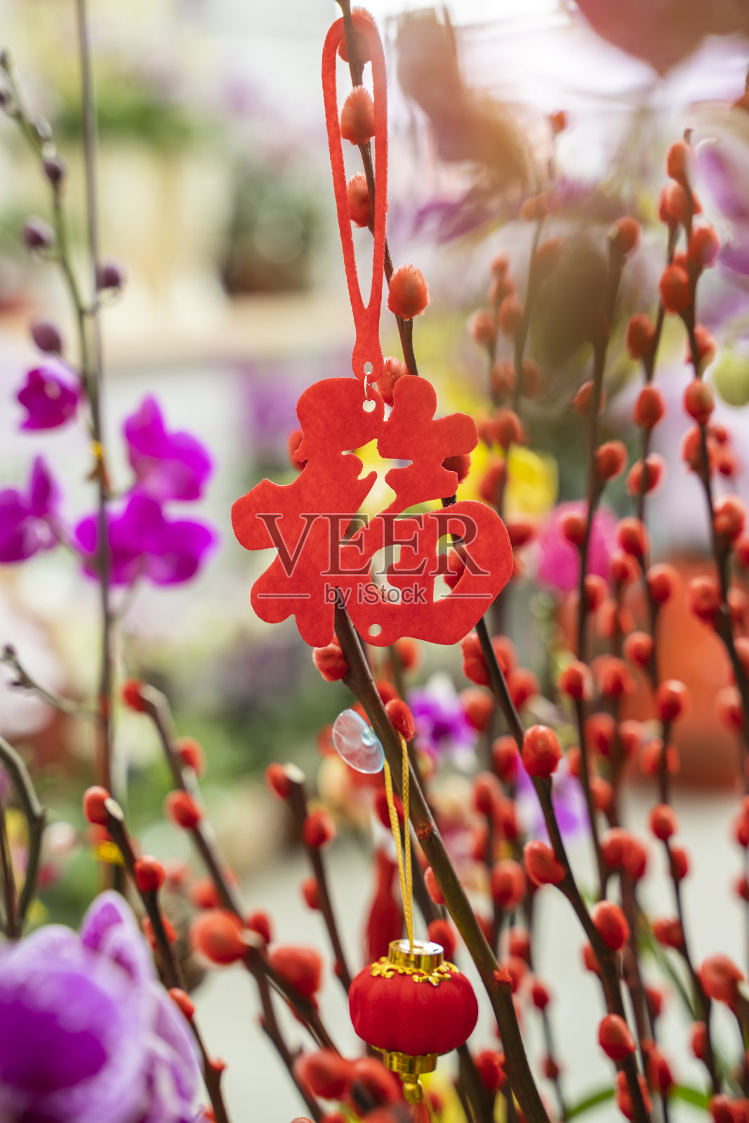 吉祥结悬挂在鲜花上表示新年的问候，汉字意味着新年的美好祝福照片摄影图片