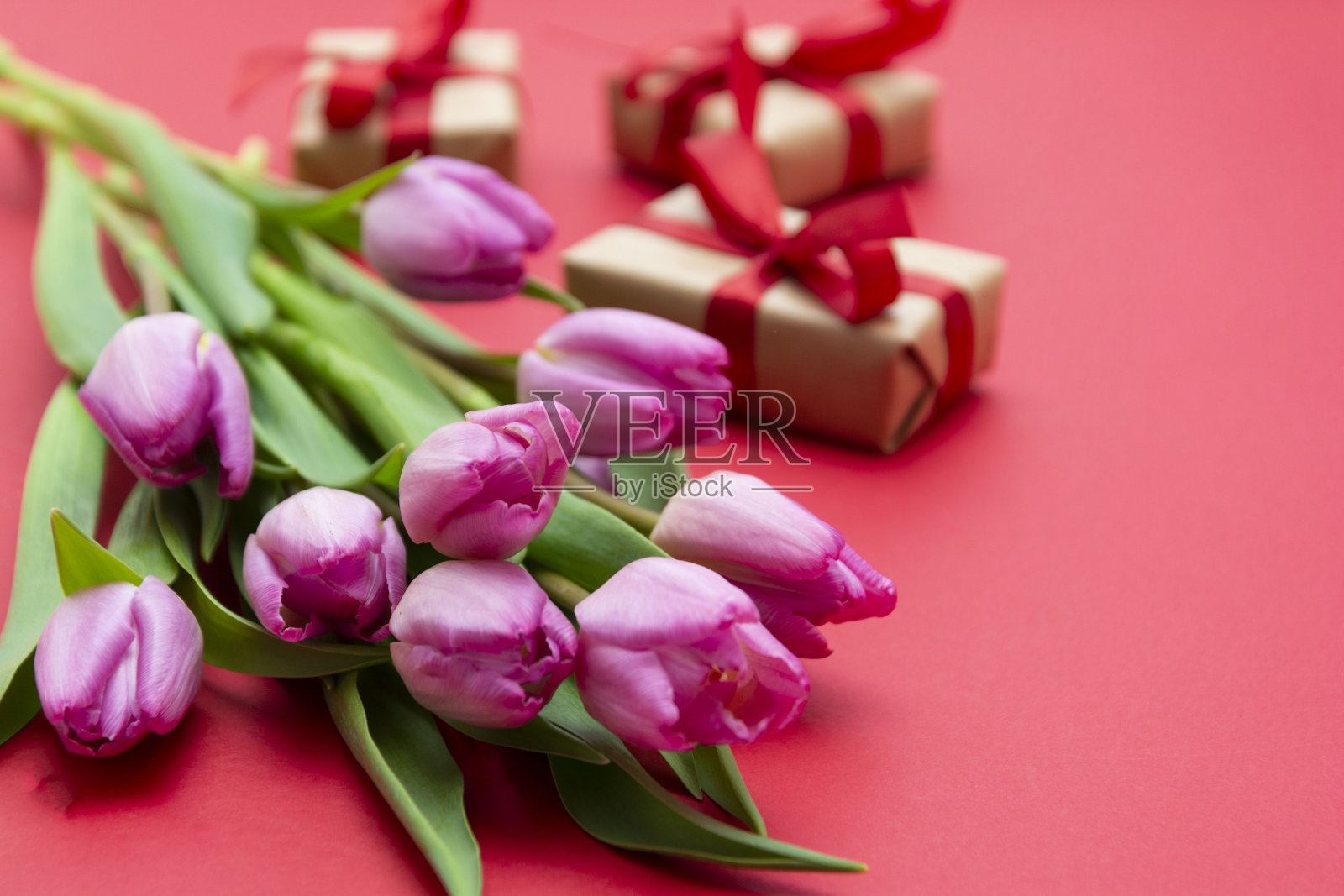 红色背景上的粉色郁金香花束和礼品盒。情人节或母亲节的概念。照片摄影图片