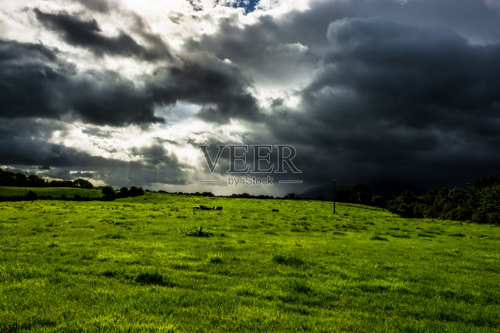 爱尔兰的牧场和乌云照片摄影图片