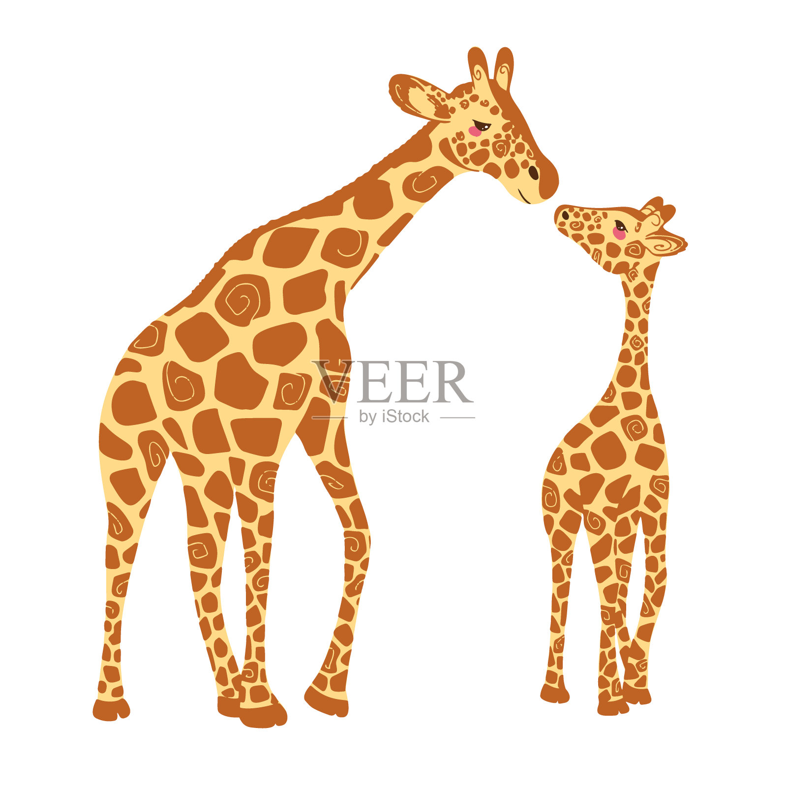 两只可爱的长颈鹿孤立在白色的背景上。小长颈鹿和成年长颈鹿。矢量图插画图片素材