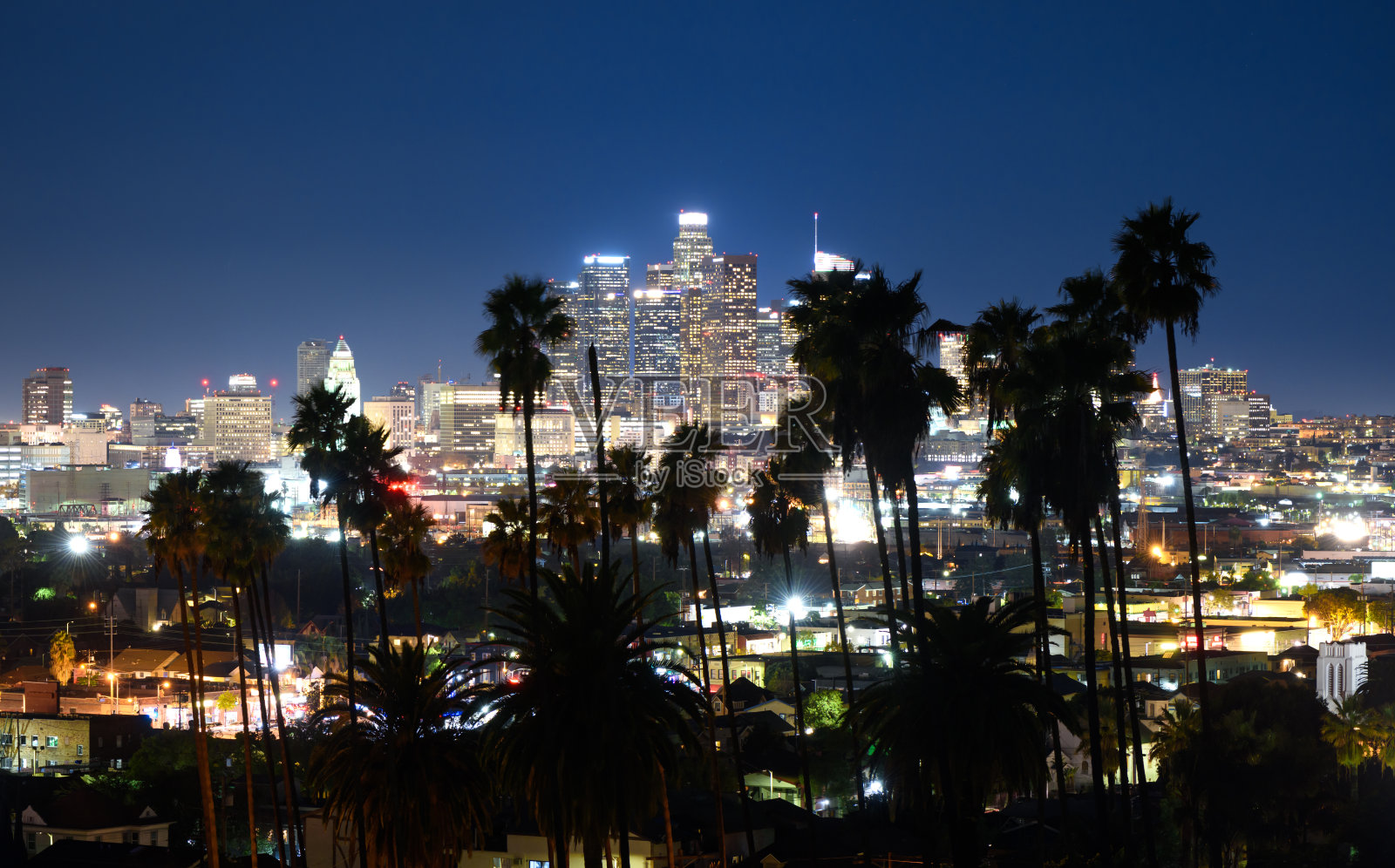 洛杉矶市中心美丽的夜晚，前景是棕榈树照片摄影图片