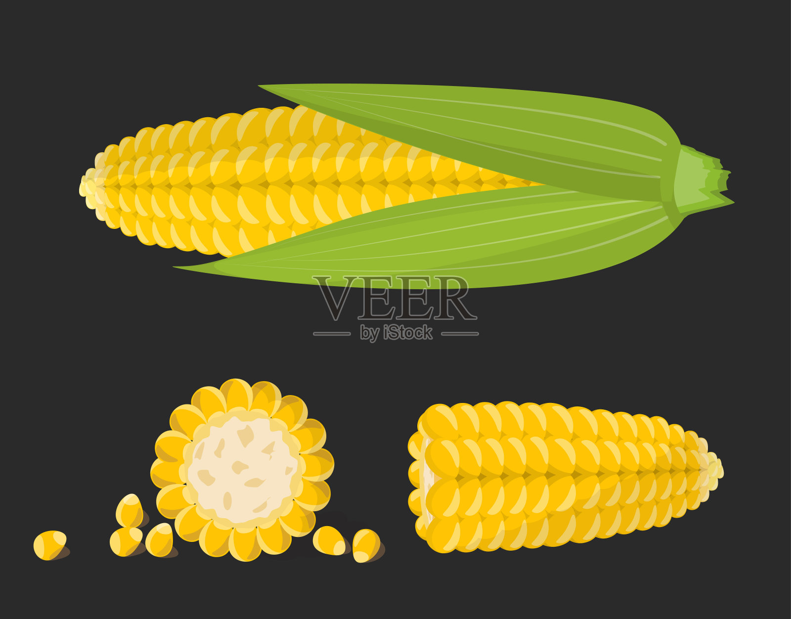 一组甜蜜的金色玉米芯和谷物孤立在黑色的背景。矢量插图。插画图片素材