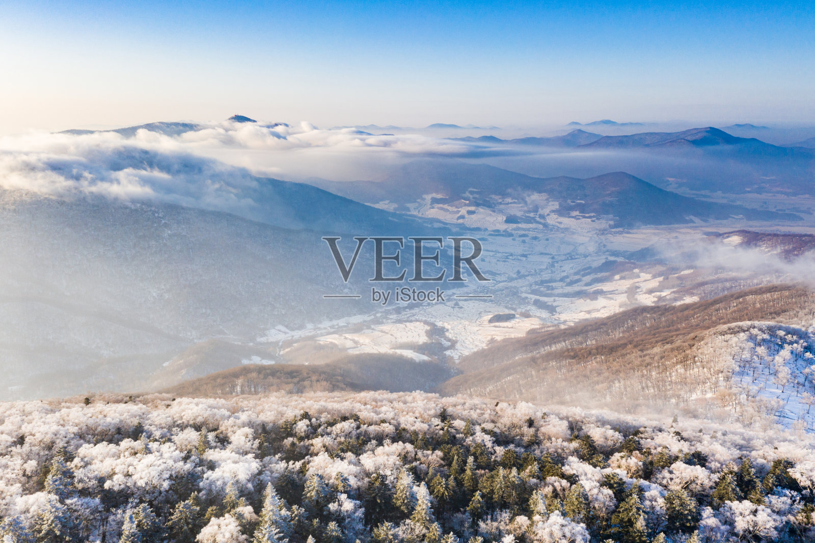 冬季高山霜照片摄影图片