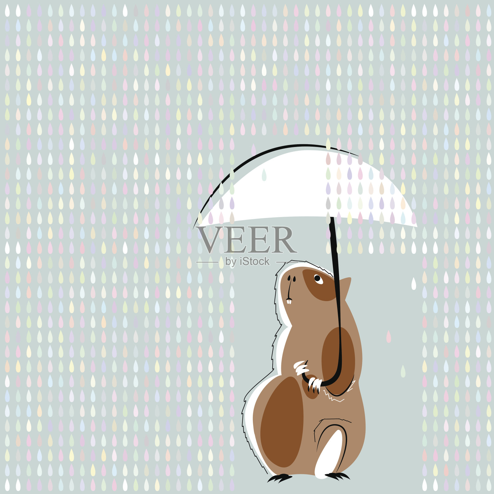 在雨中打着伞的豚鼠。插画图片素材