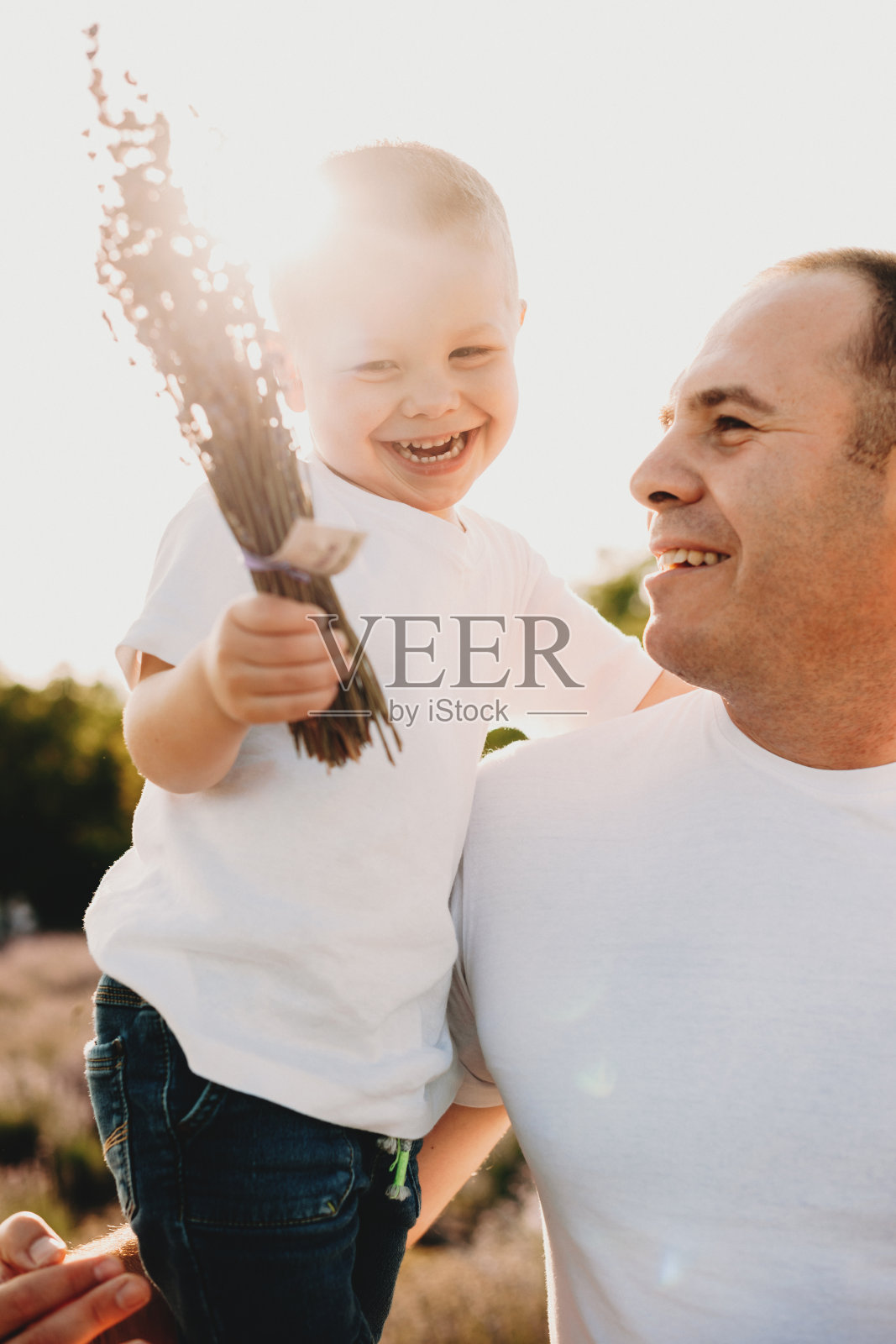 一个笑着的儿子被他的父亲抱着，他被阳光和薰衣草的香味拥抱着照片摄影图片