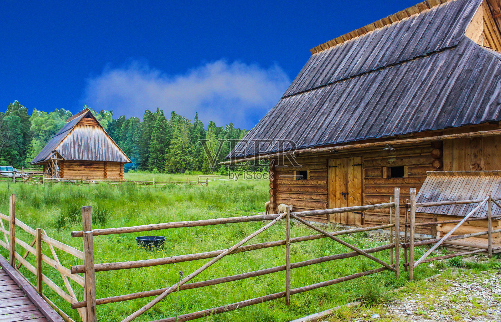 波兰夏天，绿色草地上的木屋，背景是塔特里山脉照片摄影图片
