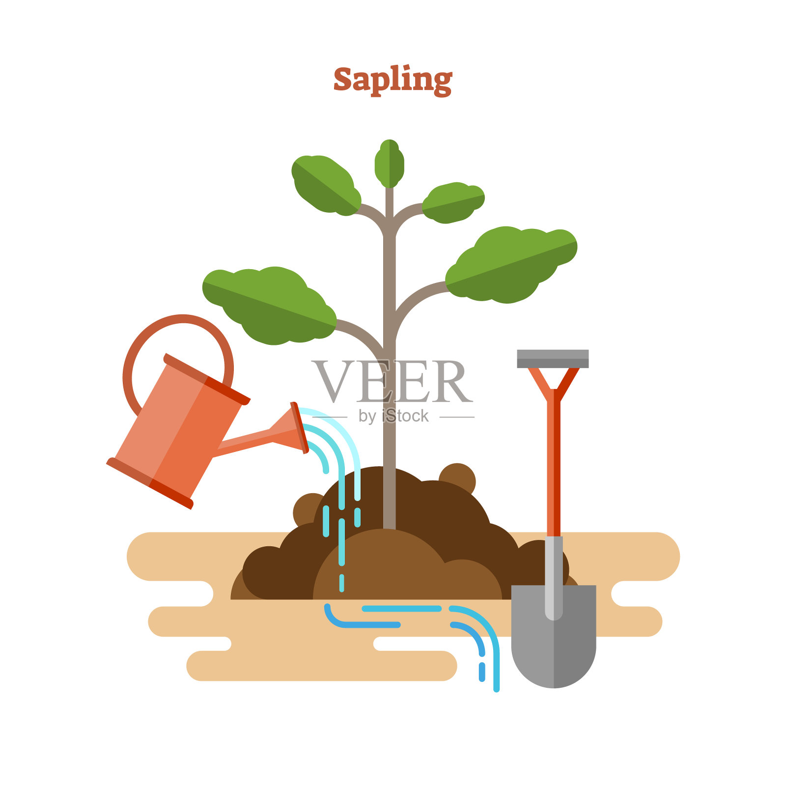 平面矢量插图与树苗过程。画园艺和苗木与绿色芽，浇水罐和铲子在泥土和土壤。生态植物学基础设计元素图片
