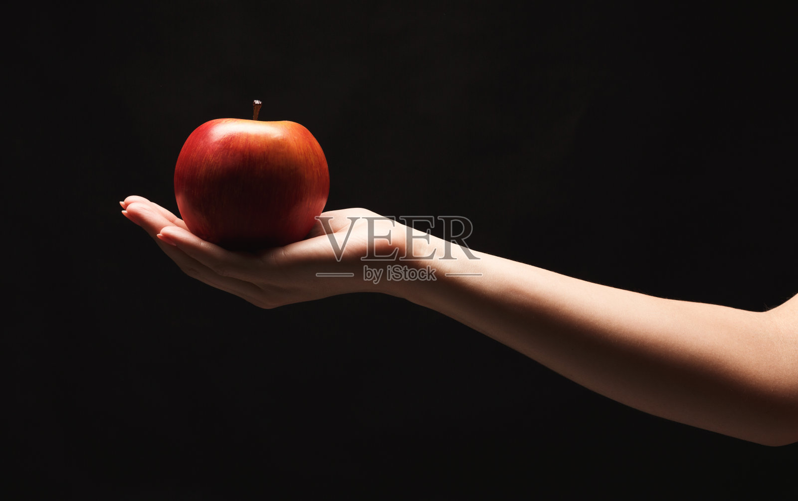 雌手上成熟的红苹果，孤立于黑色上照片摄影图片