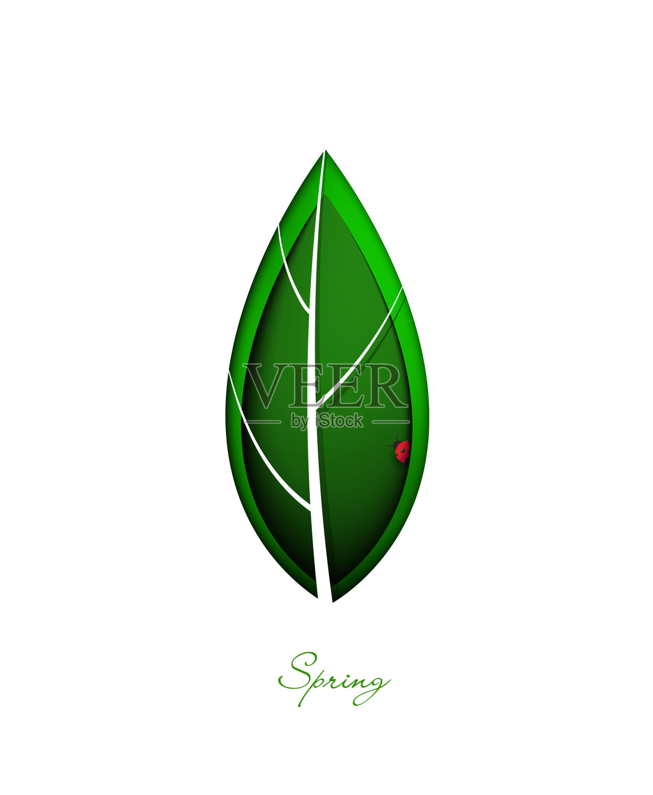春天的象征，绿色的叶子里面有瓢虫，绿色的叶子在白色的背景上，生态的概念，保护植物的想法，向量设计元素图片