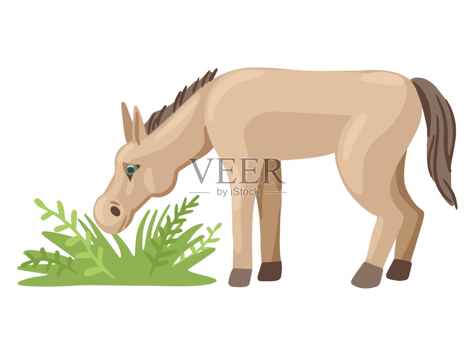 小马驹或驴在草地上吃草。向量的性格。插画图片素材
