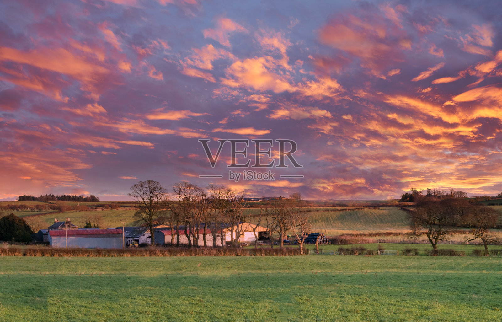 苏格兰艾尔郡的田野和远处的农场建筑在一天的日落结束时。照片摄影图片