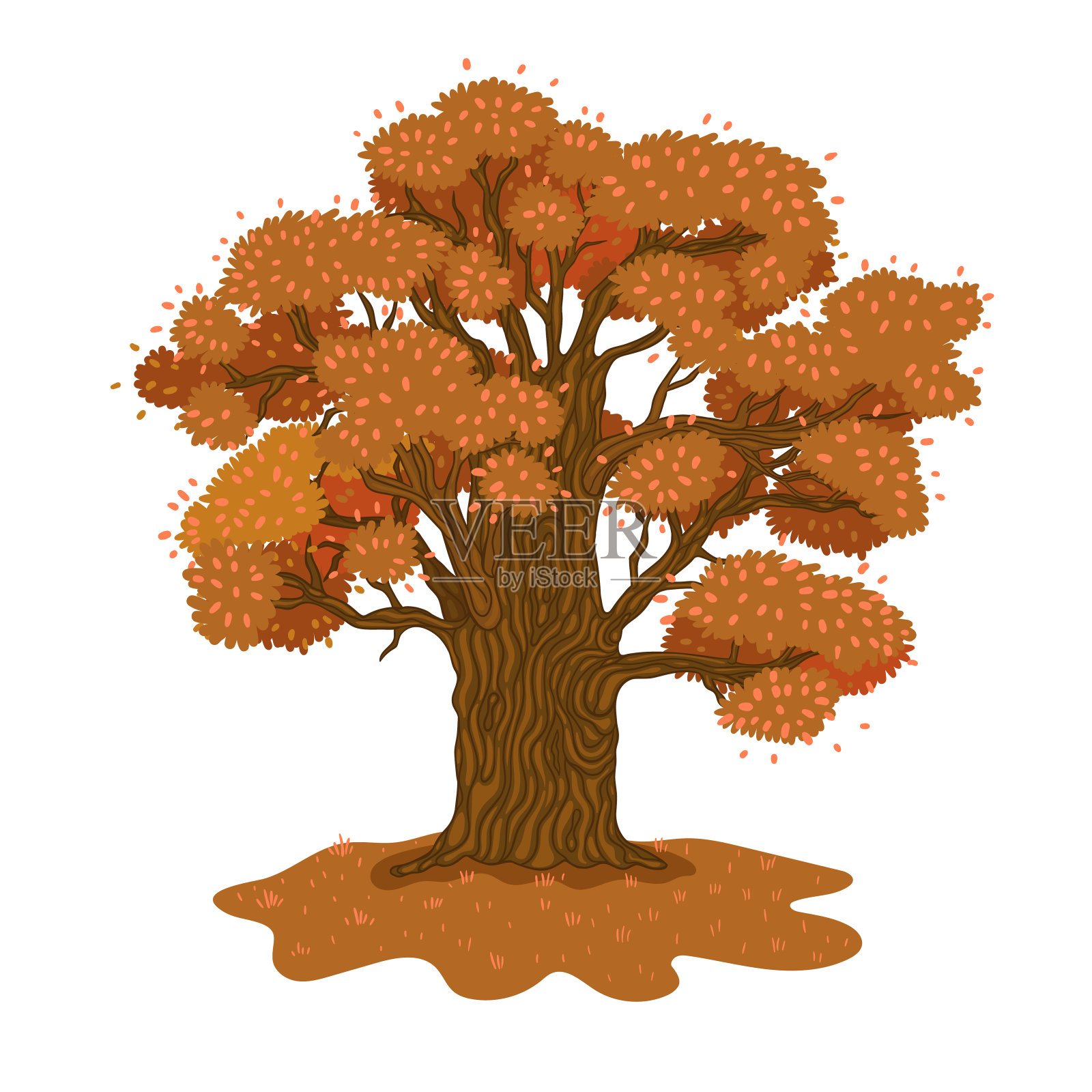 秋季橡树孤立在一个白色的背景。向量图形。设计元素图片