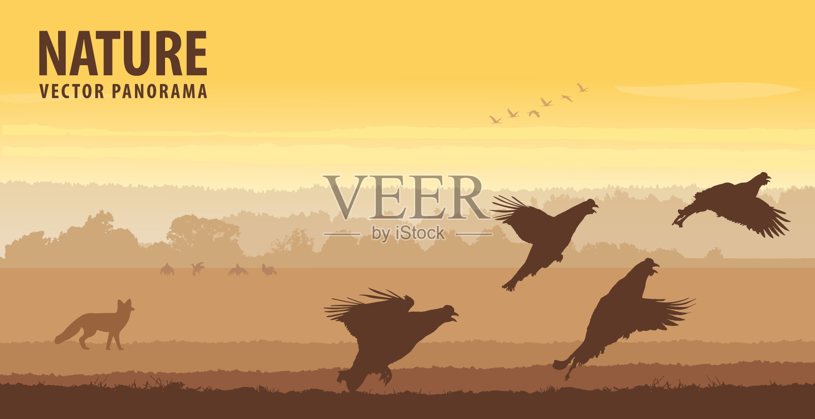 日出时，黑色的松鸡在田野上起飞。野生动物矢量全景插画图片素材