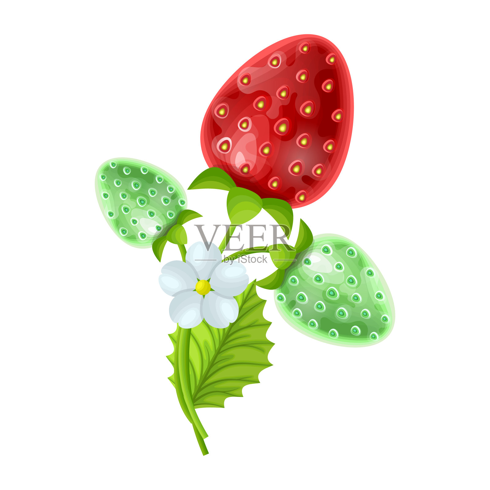 一套草莓果实与花和绿叶孤立在白色背景，矢量插图卡通风格设计元素图片