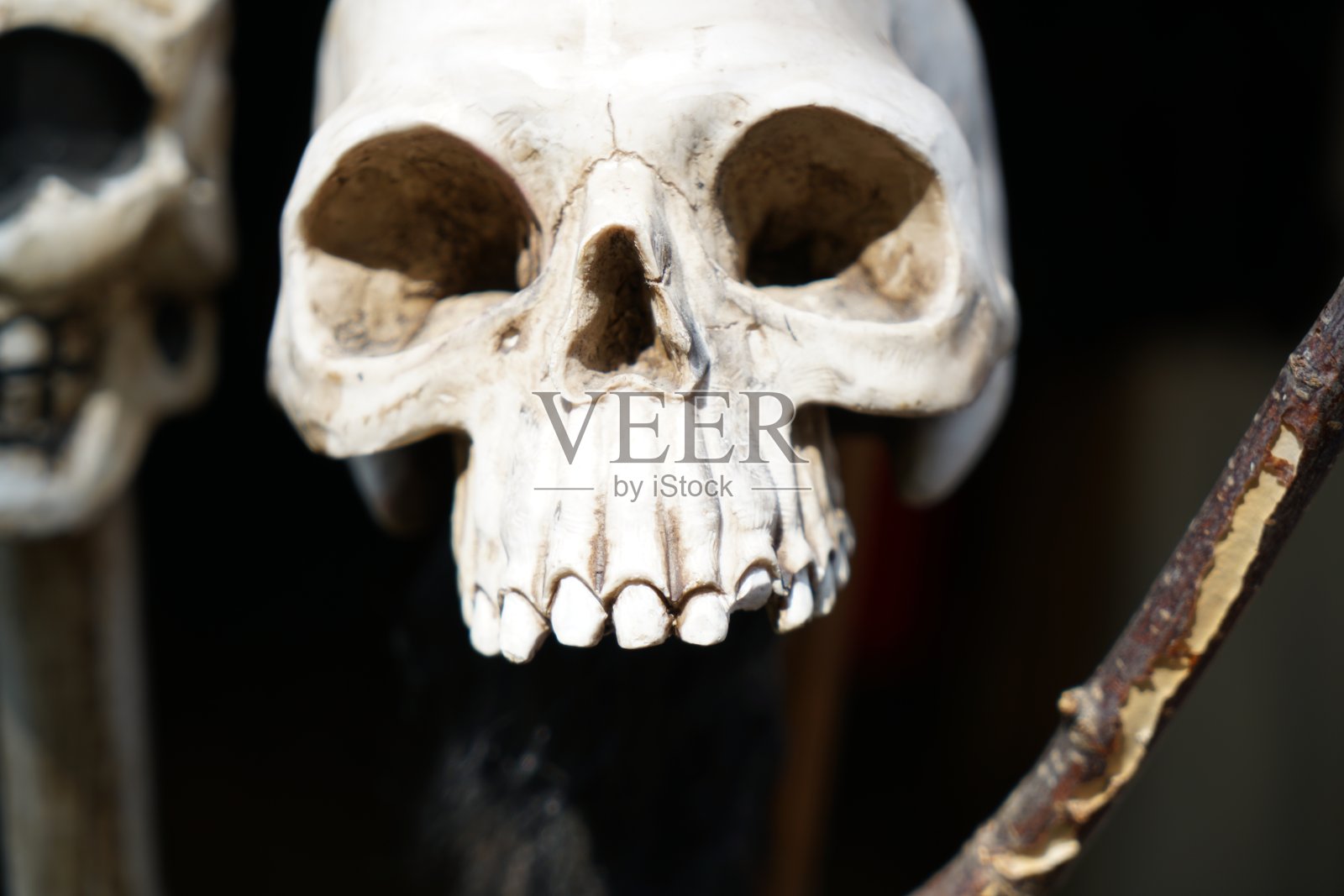 一个阴天在德国中世纪节日上拍摄的完美的模拟头骨照片摄影图片