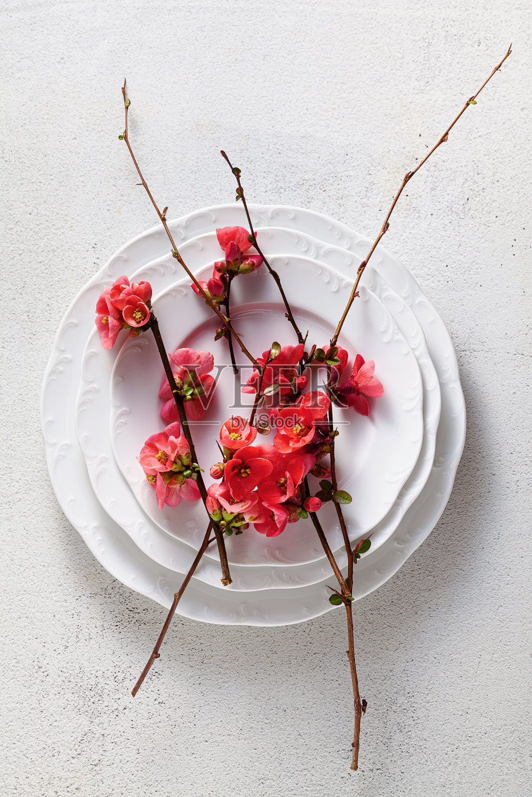 春季餐桌上布置着花枝。空盘子。广告。菜单照片摄影图片