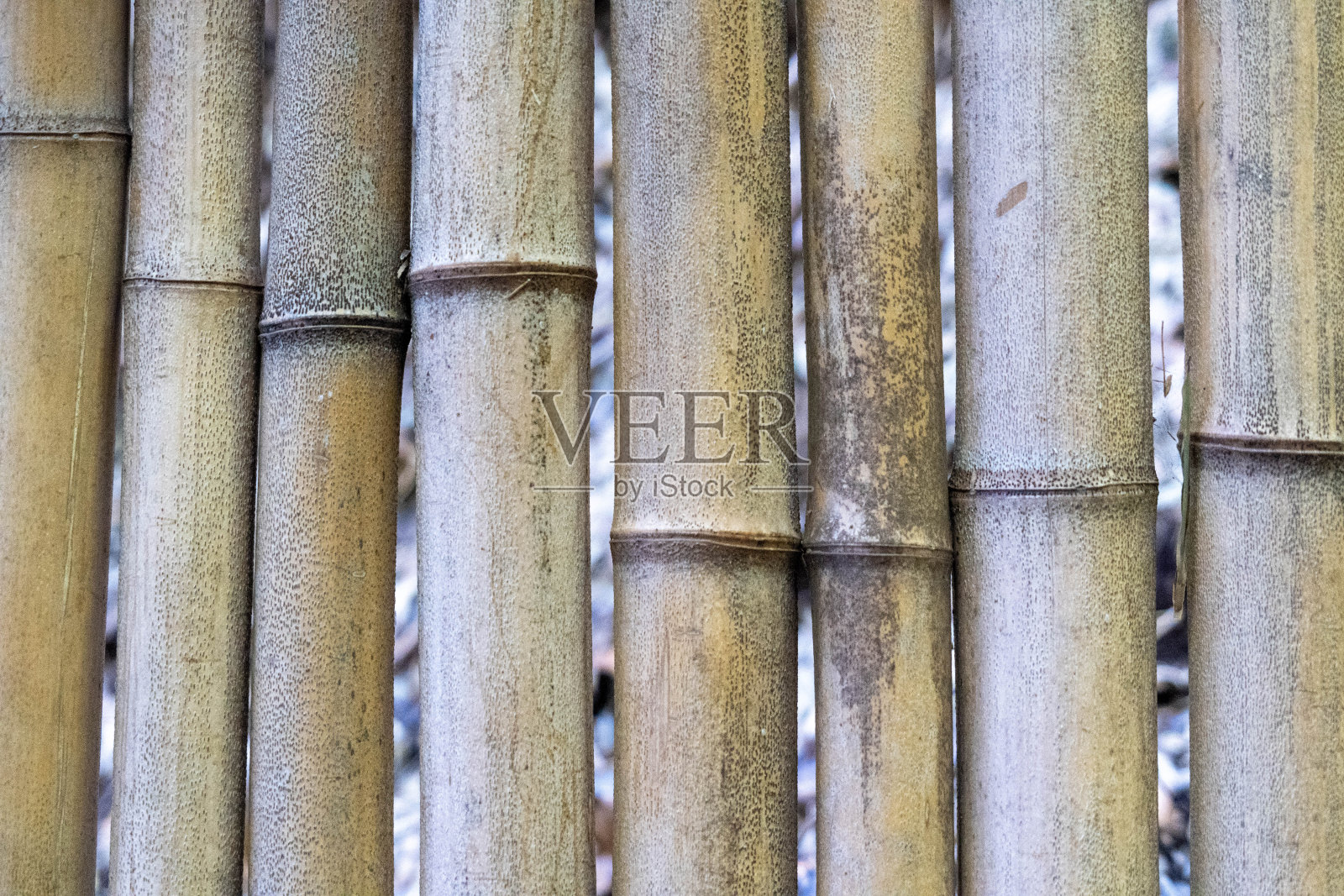竹篱笆照片摄影图片