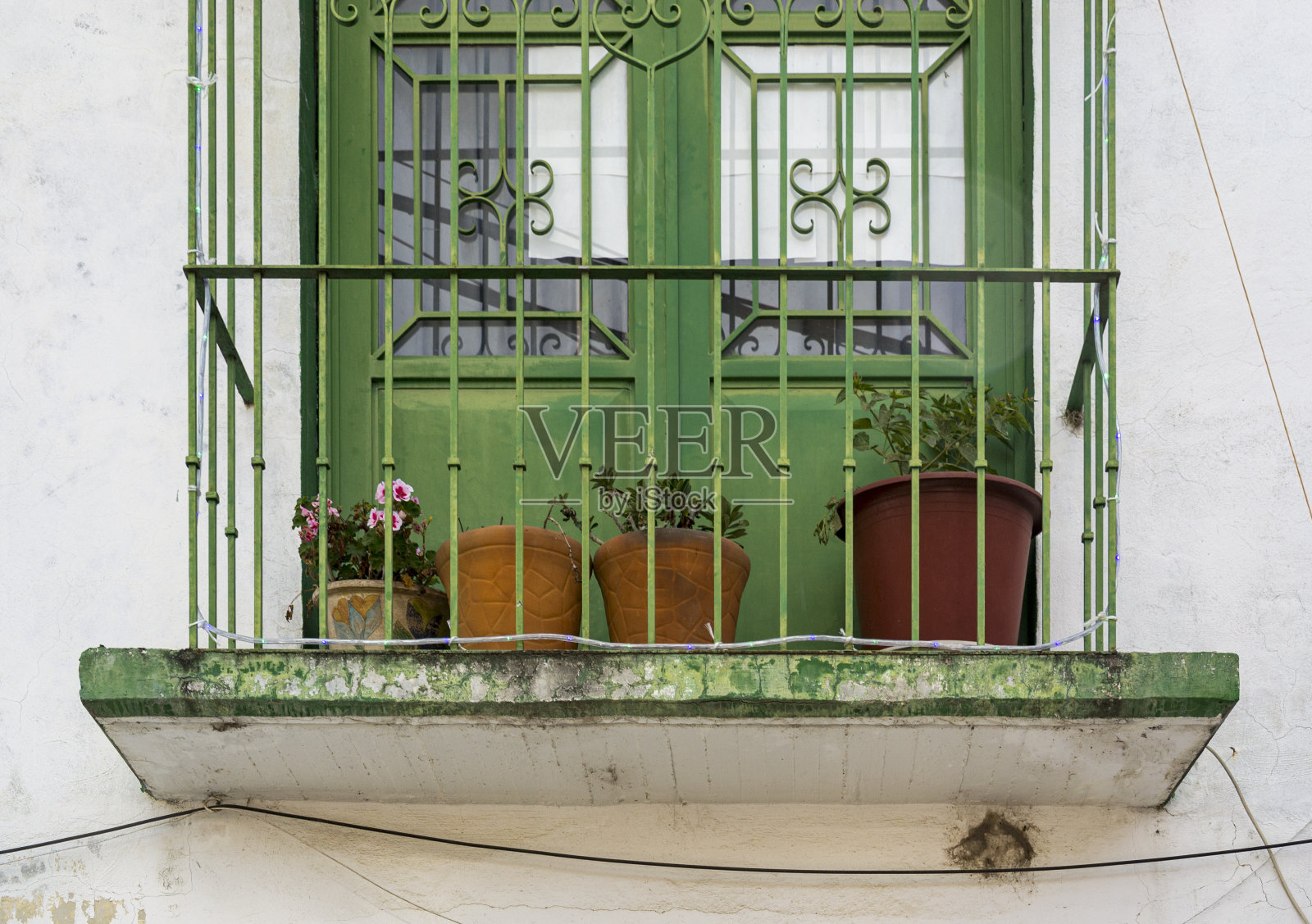 绿色阳台上的天竺葵花盆照片摄影图片