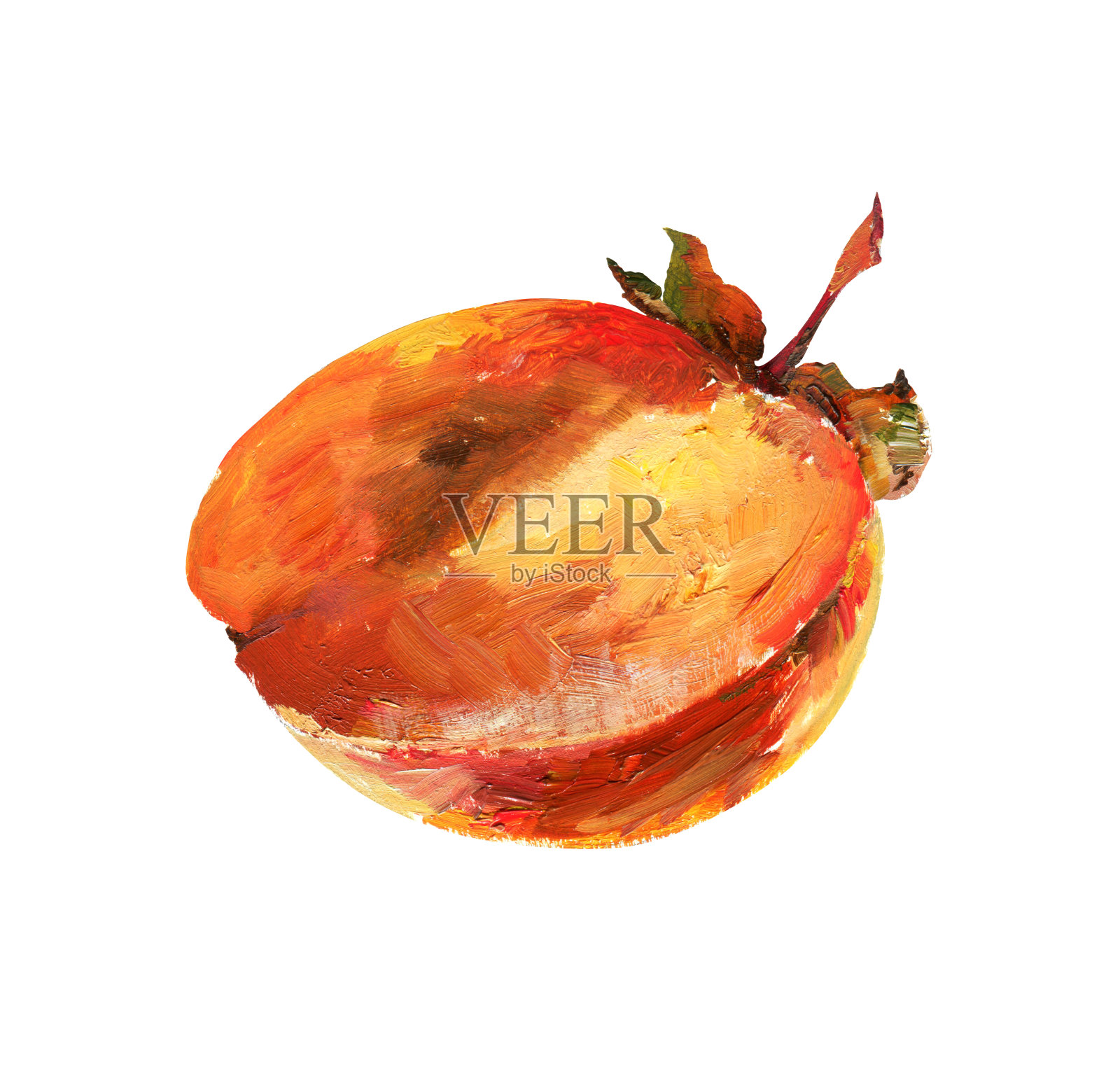 白底上的一半柿子。油画插画图片素材