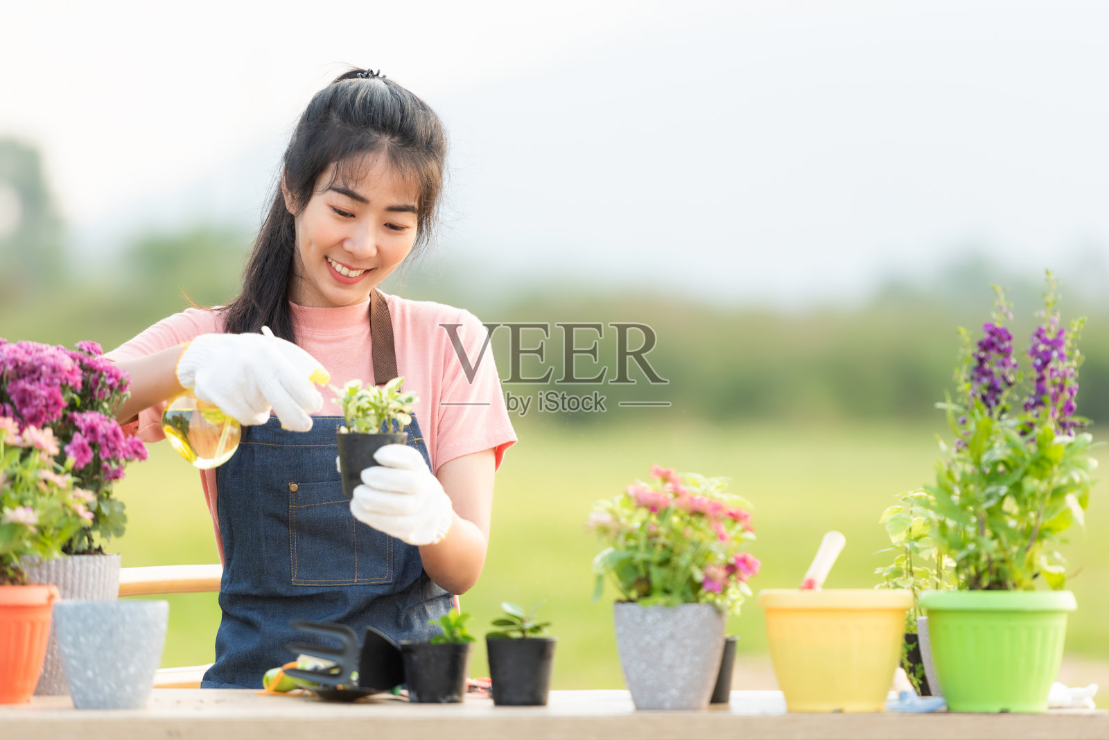 年轻女子在花园里养花。亚洲人爱好和自由园艺户外阳光自然背景。照片摄影图片