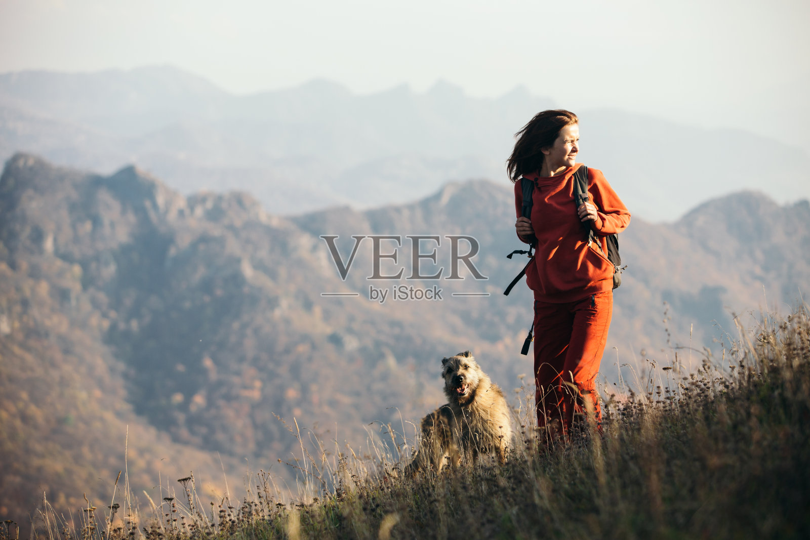 美丽的女人旅行者和一条狗爬上山。照片摄影图片