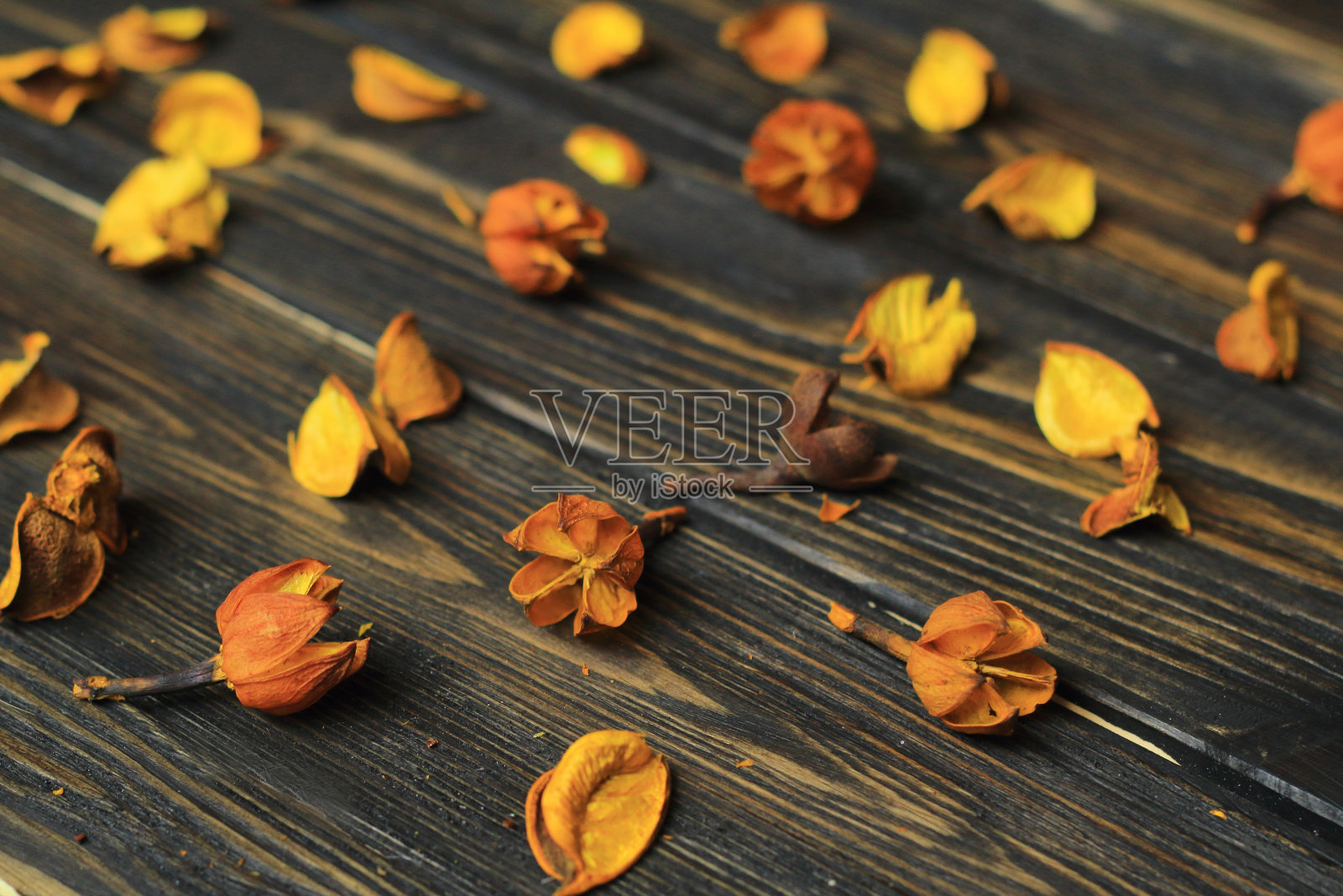 木质背景上的干花花瓣照片摄影图片