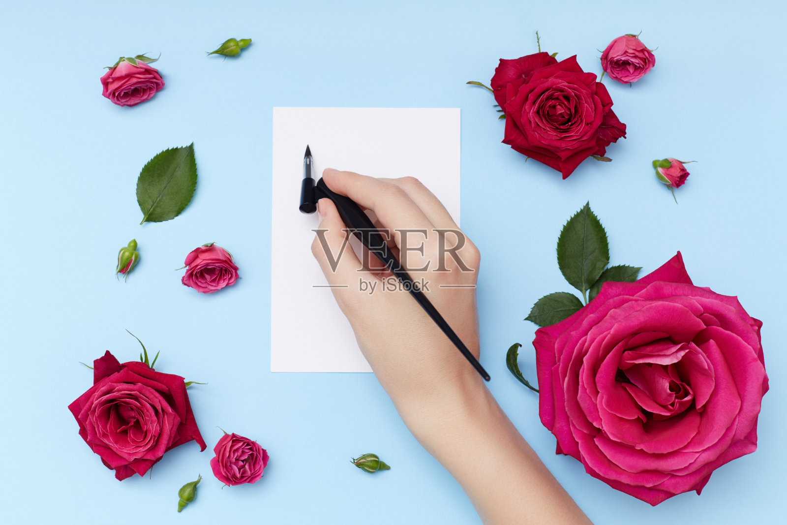 粉红色的玫瑰围绕着女性的手与钢笔和空明信片在蓝色的背景照片摄影图片