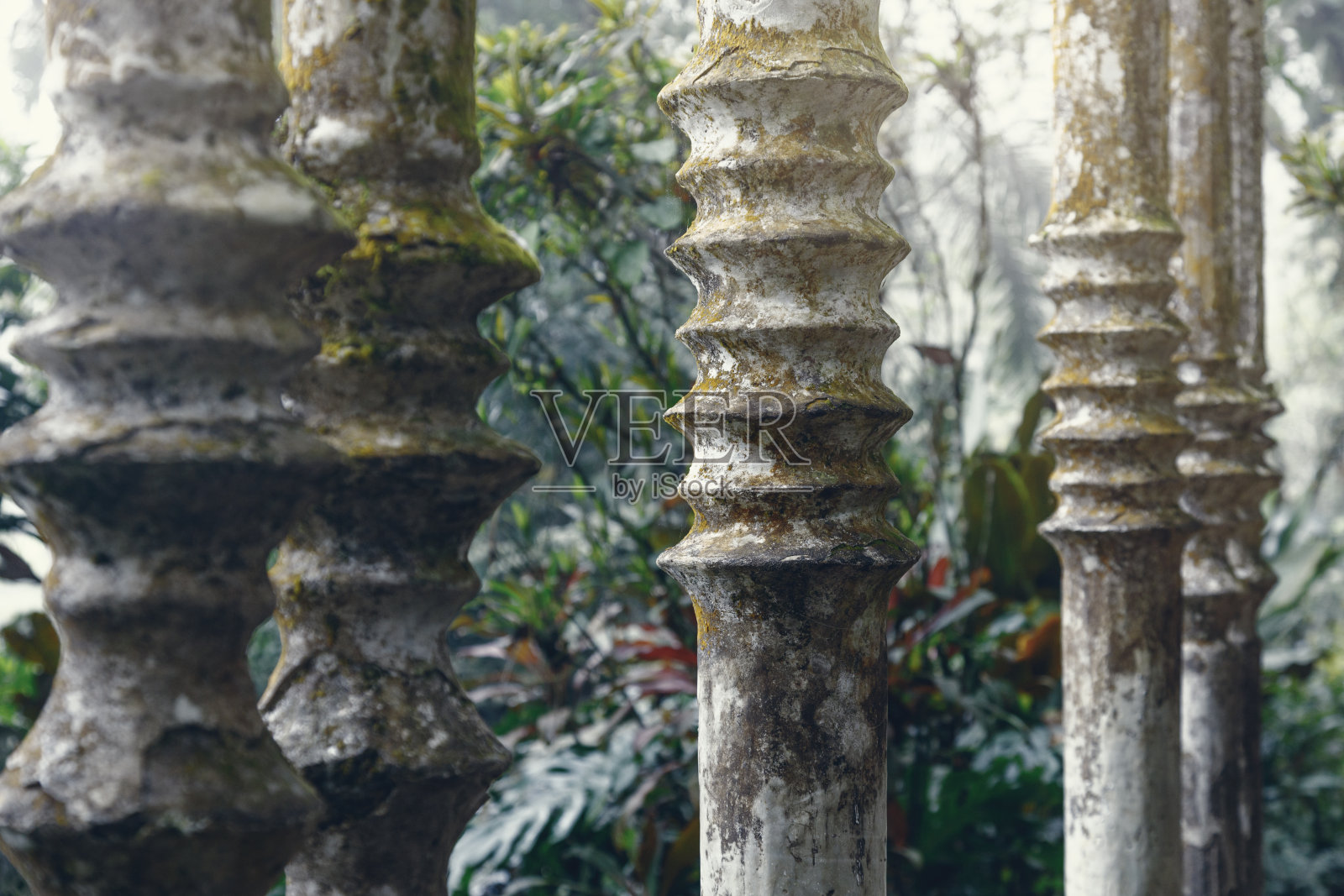 由Edwa设计的墨西哥希利特拉的超现实主义植物园Las Pozas照片摄影图片