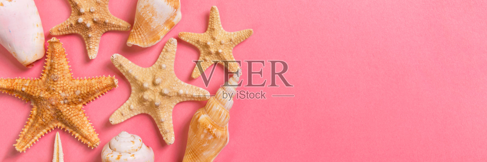 海贝和海星在粉红色的旗帜背景和沙子上。休假时间的概念照片摄影图片