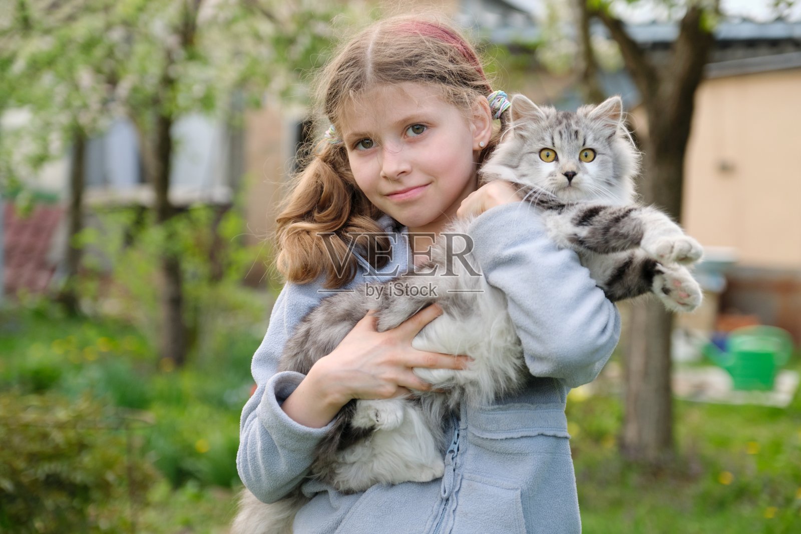 女孩抱着她心爱的毛茸茸的灰猫照片摄影图片