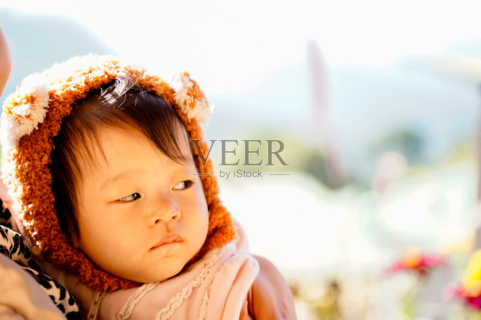 在泰国北部清迈，亚洲宝宝穿着可爱的服装，戴着橙色可爱的熊帽和冬天的布料，在柔软模糊的花朵背景下旅行。照片摄影图片