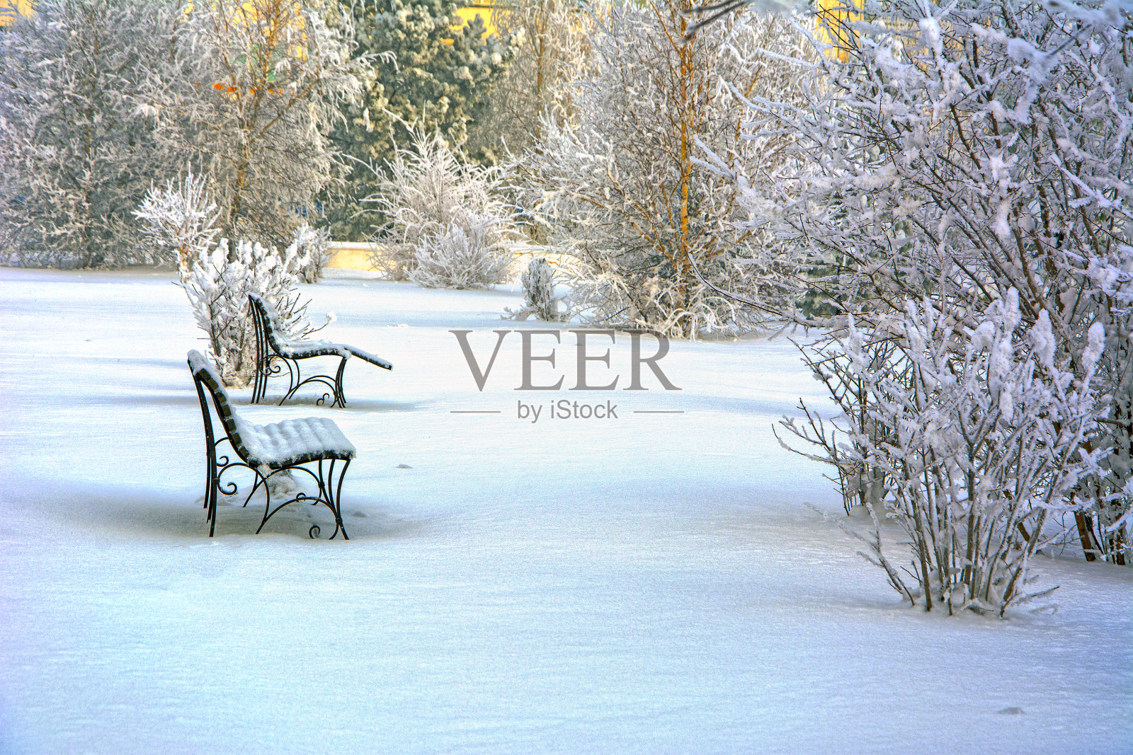在一个废弃的公园里，白雪覆盖的长凳。冬天。俄罗斯照片摄影图片