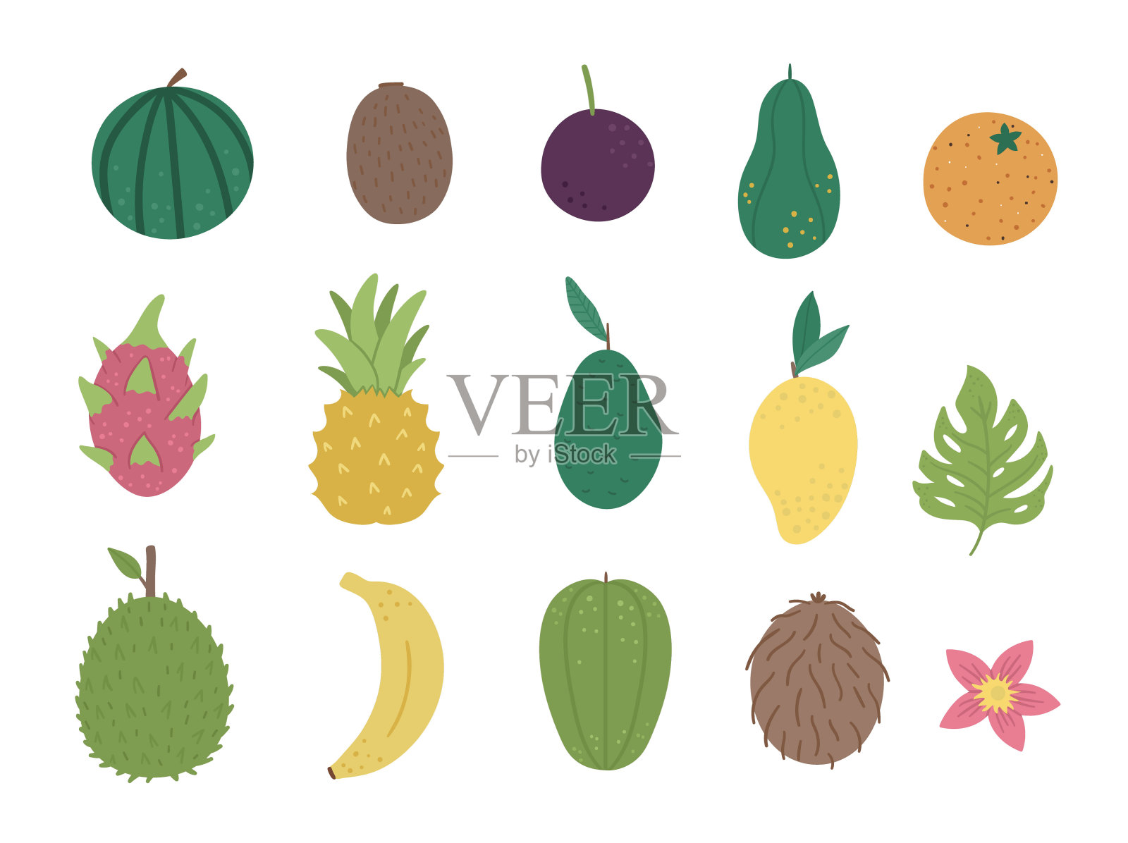 矢量热带水果和浆果修剪艺术。丛林植物插图。手绘的外来植物孤立在白色的背景。明亮童稚健康的夏季饮食例证。插画图片素材