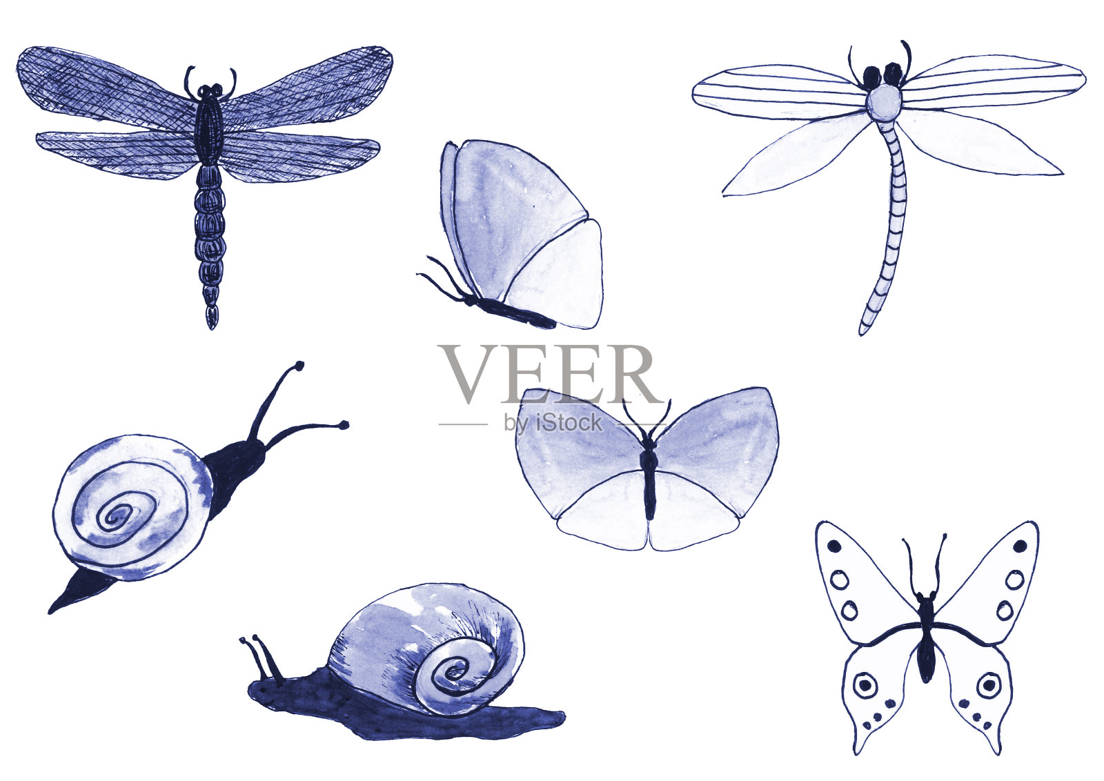 一组昆虫——蝴蝶、蜗牛、蜻蜓。白色背景上的图形。插画图片素材