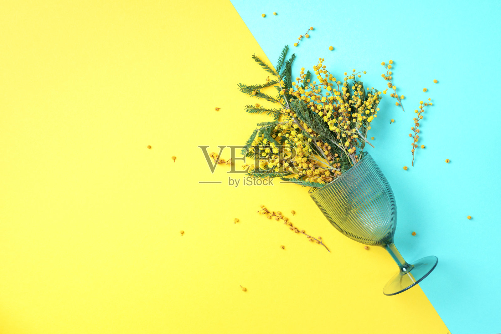 蓝色背景上有黄色含羞草花的酒杯。前视图。平的。春天的概念照片摄影图片