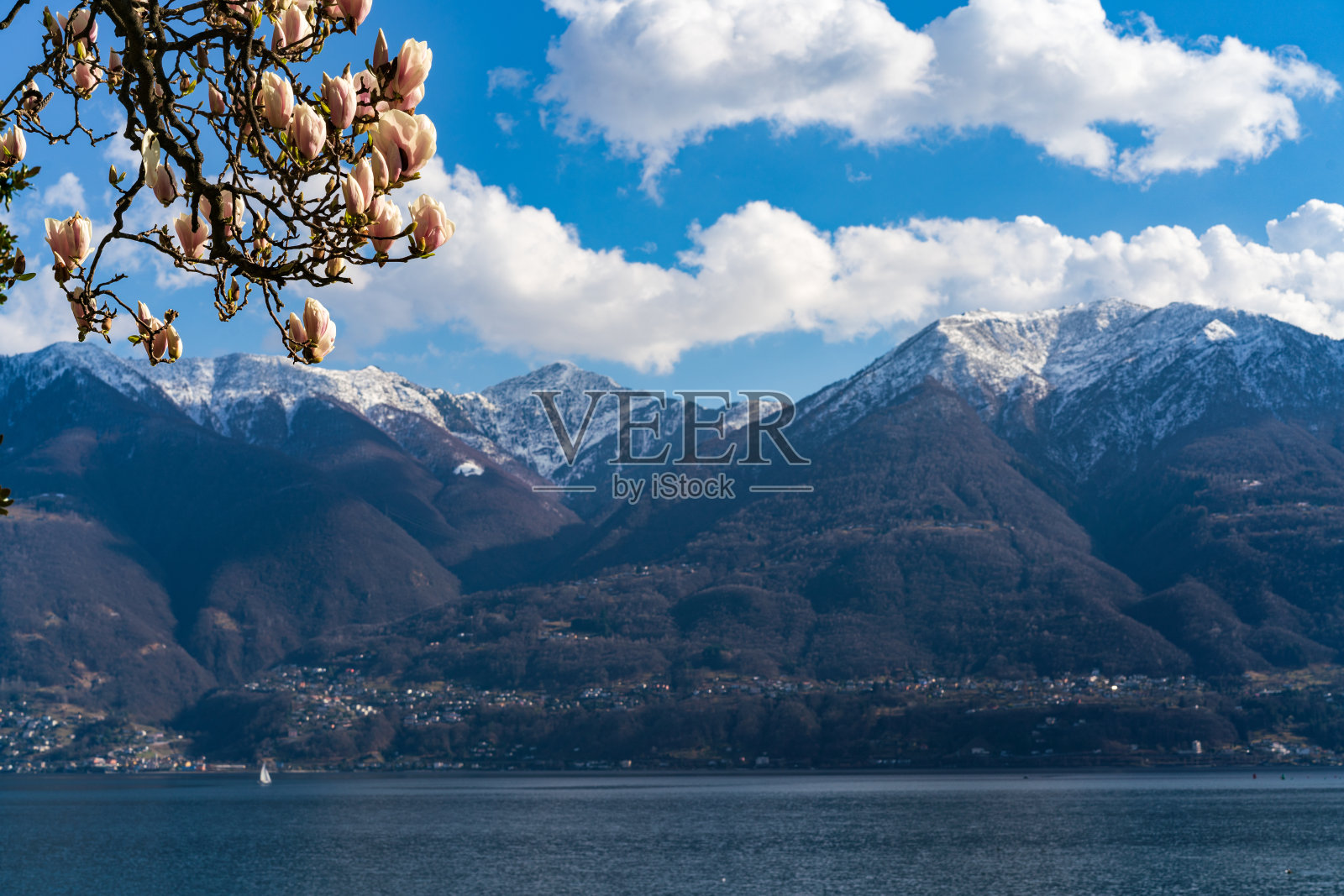 春天的瑞士阿尔卑斯山与木兰花在洛迦诺照片摄影图片