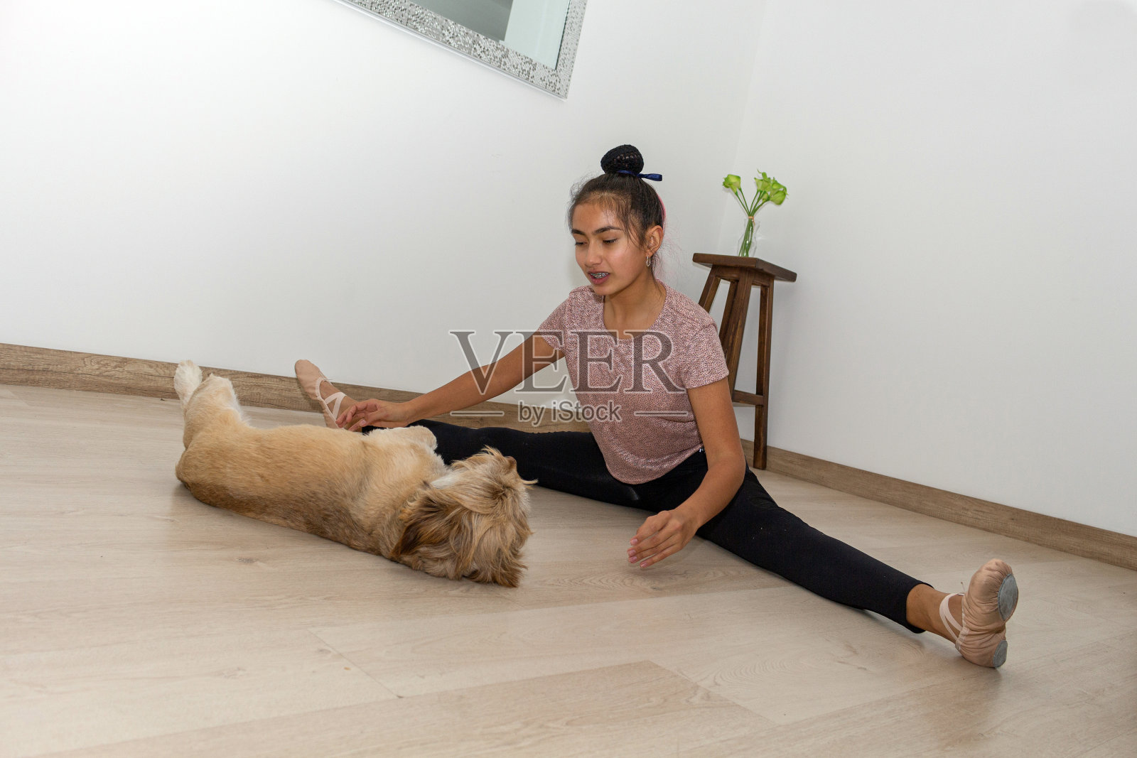 一个十几岁的女孩在客厅里和她的狗一起练习体操和芭蕾照片摄影图片