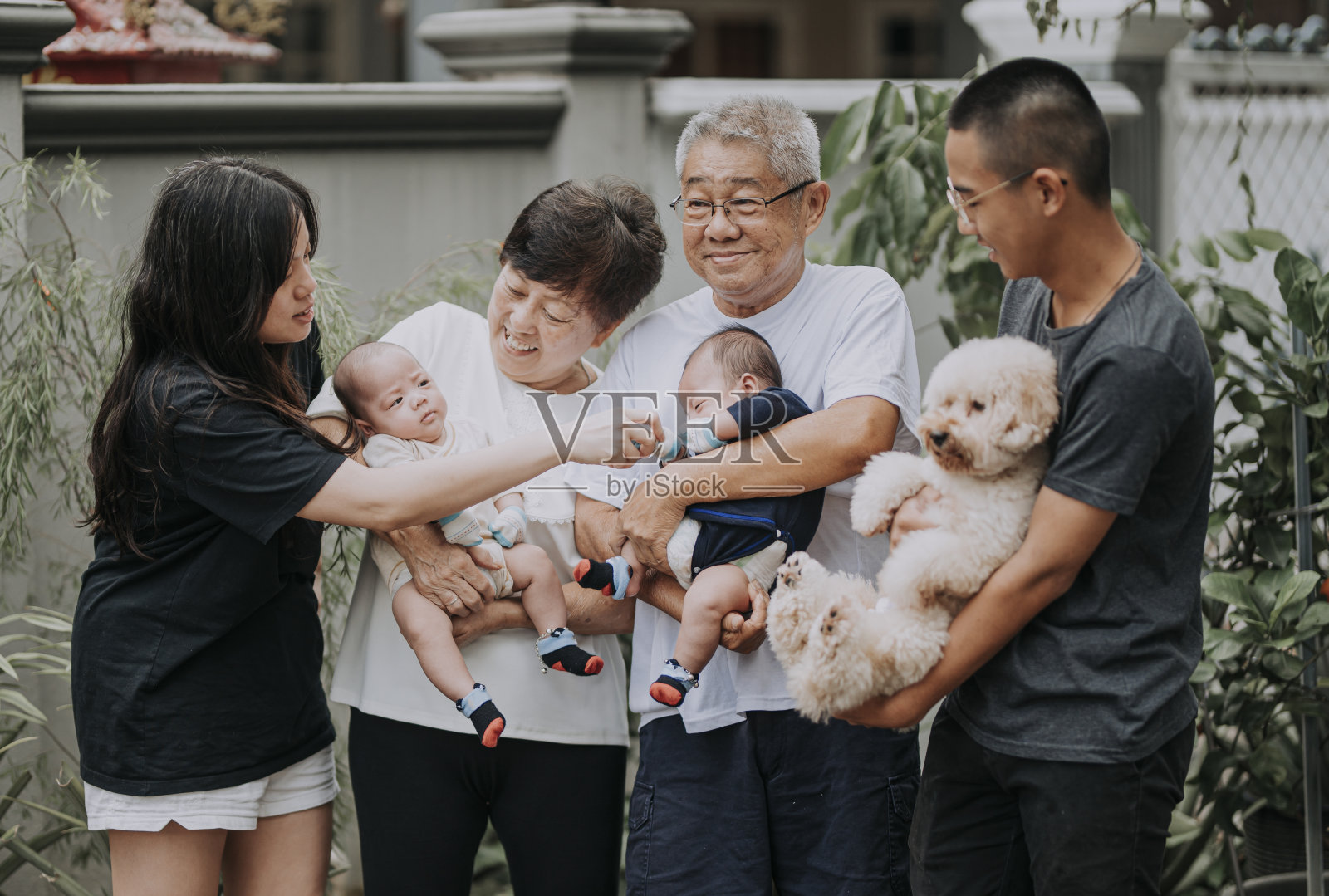 一个亚洲华人多代家庭在前院与他们的宠物玩具贵宾犬在一起照片摄影图片